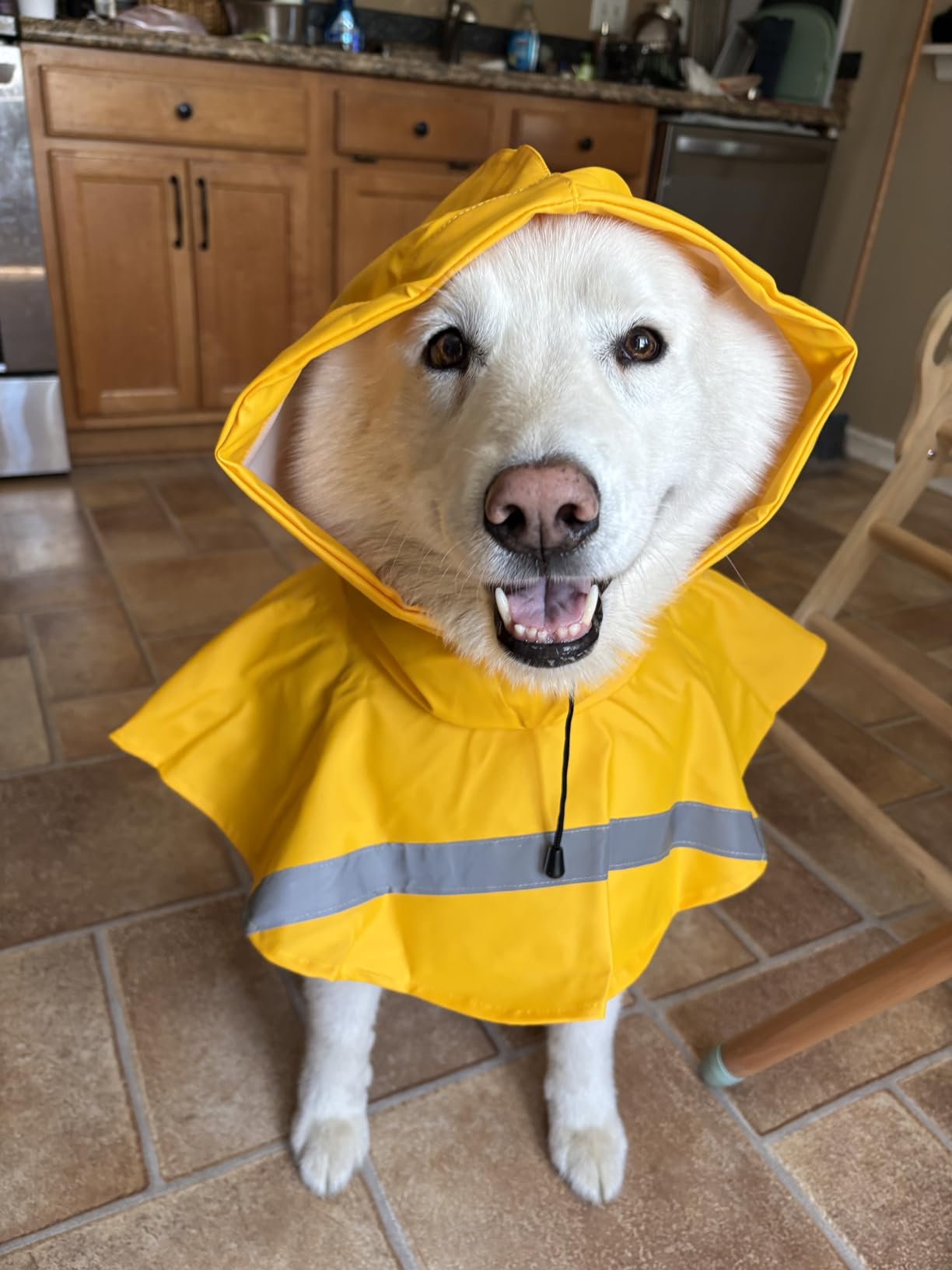 NACOCO Large Dog Raincoat Adjustable Pet Water Proof Clothes Lightweight Rain Jacket Poncho Hoodies with Strip Reflective (XL, Yellow) customer photo 1