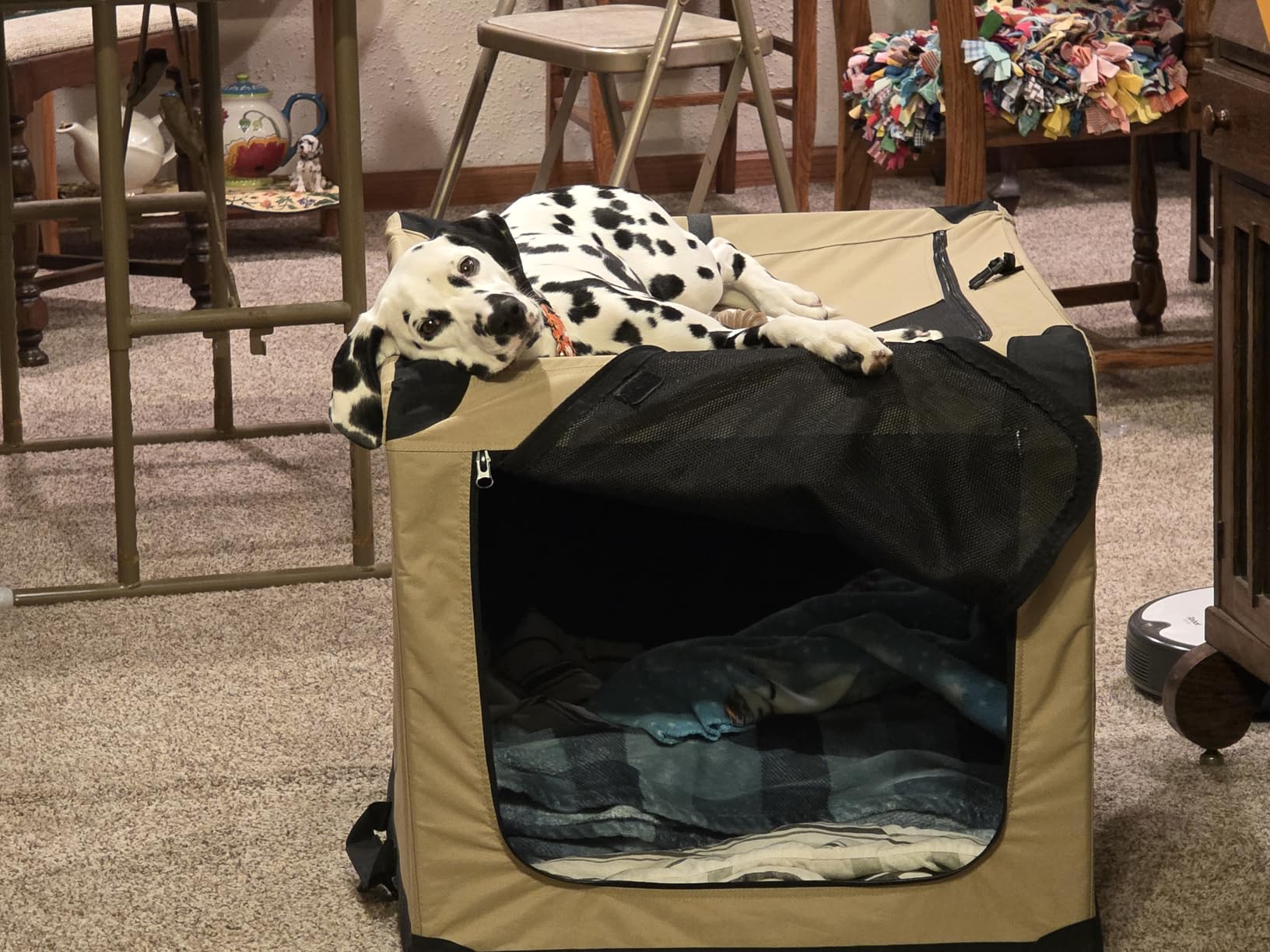 Amazon Basics Portable Folding Soft Dog Crate, Double Door, Collapsible Travel Kennel, Easy to Set Up, Sturdy, Secure, XL 42