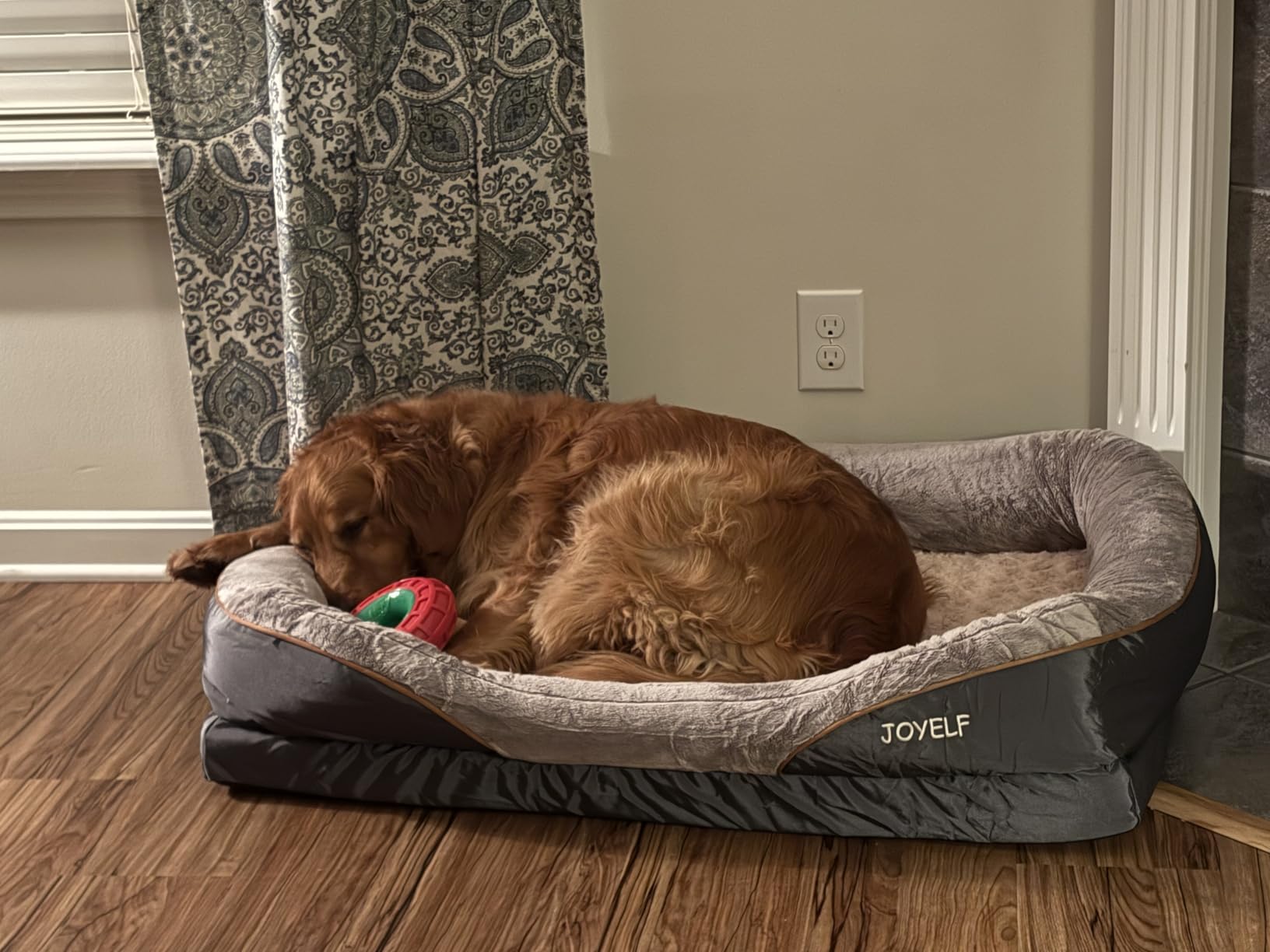 JOYELF Memory Foam Dog Bed Small Orthopedic Dog Bed & Sofa with Removable Washable Cover and Squeaker Toy as Gift customer photo 2