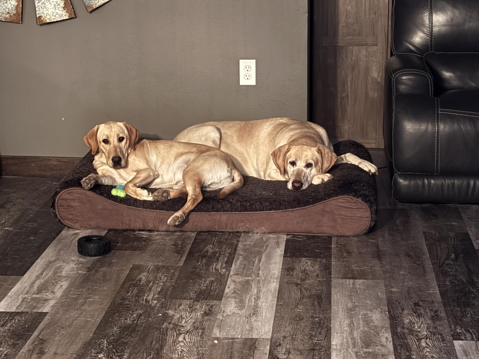 FurHaven Orthopedic Dog Bed for Large Dogs, Luxe Lounger Contour Mattress with Solid Orthopedic Foam, Jumbo XL, Gray customer photo 1