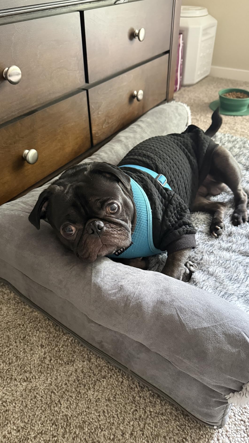 Furhaven Orthopedic Dog Bed for Medium/Small Dogs w/ Removable Bolsters & Washable Cover, For Dogs Up to 35 lbs - Two-Tone Plush Faux Fur & Suede L Shaped Chaise - Espresso, Medium, 30