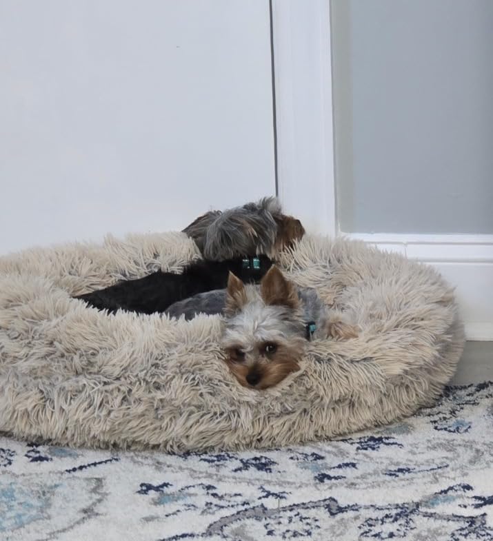 Best Friends by Sheri The Original Calming Donut Dog Bed for Small Dogs up to 25 lbs, Lux Faux Fur, Gray, 23