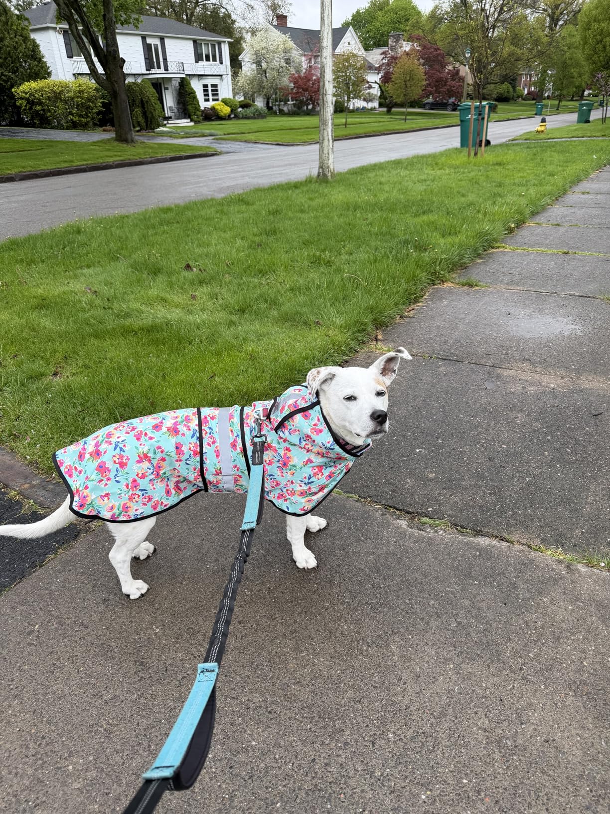 HDE Dog Raincoat Jacket Reflective Adjustable Hooded Pet Poncho Rain Coat with Leash Hole for Small to X-Large Dogs Yellow - XL customer photo 1