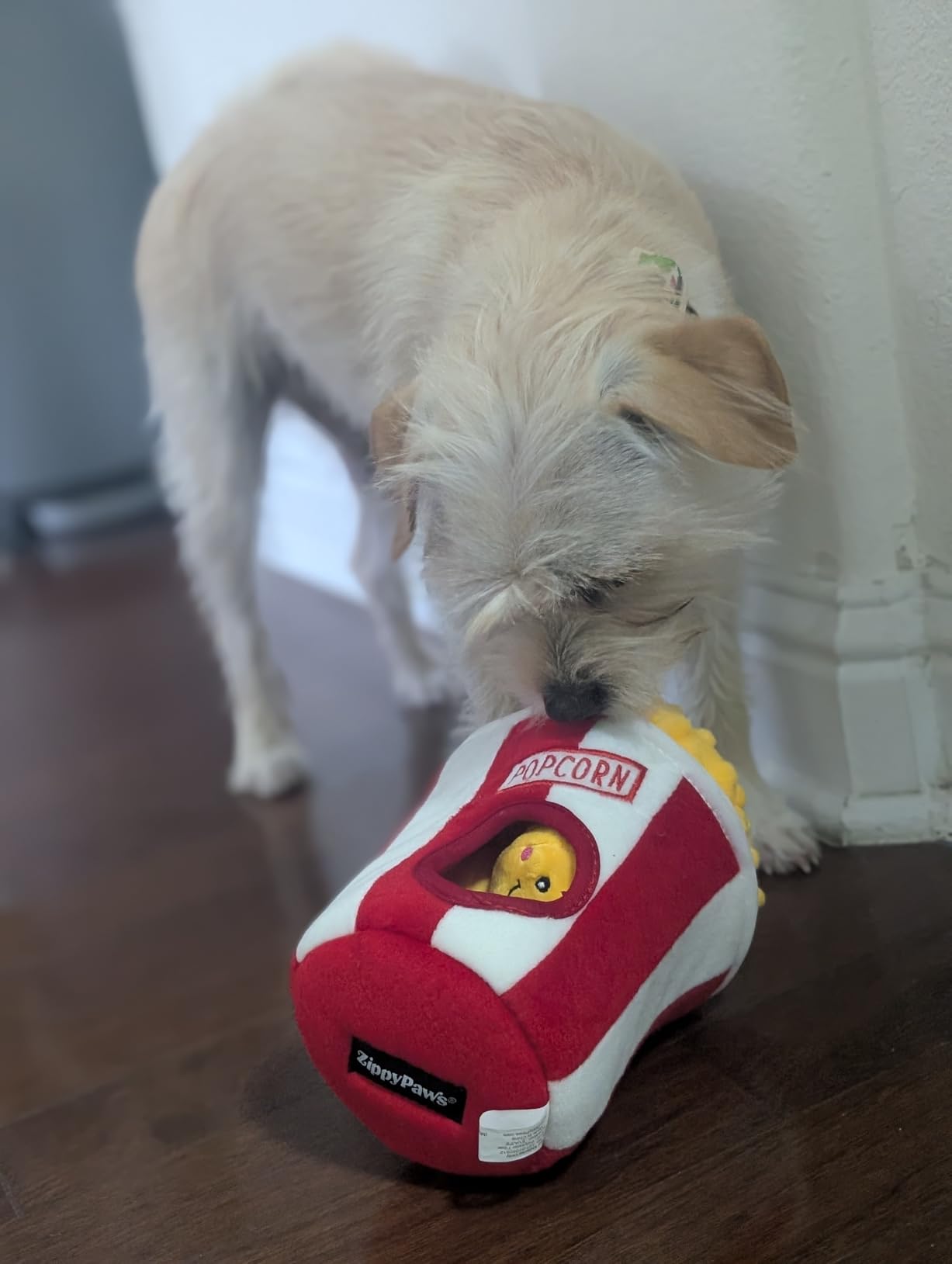ZippyPaws Burrow - Interactive Dog & Puppy Toys for Boredom, Stimulating Pet Products to Keep them Busy, Hide & Seek Plush Puzzles, Squeaky Toy for Enrichment, For Small & Medium Dogs - Milk and Cookies customer photo 1