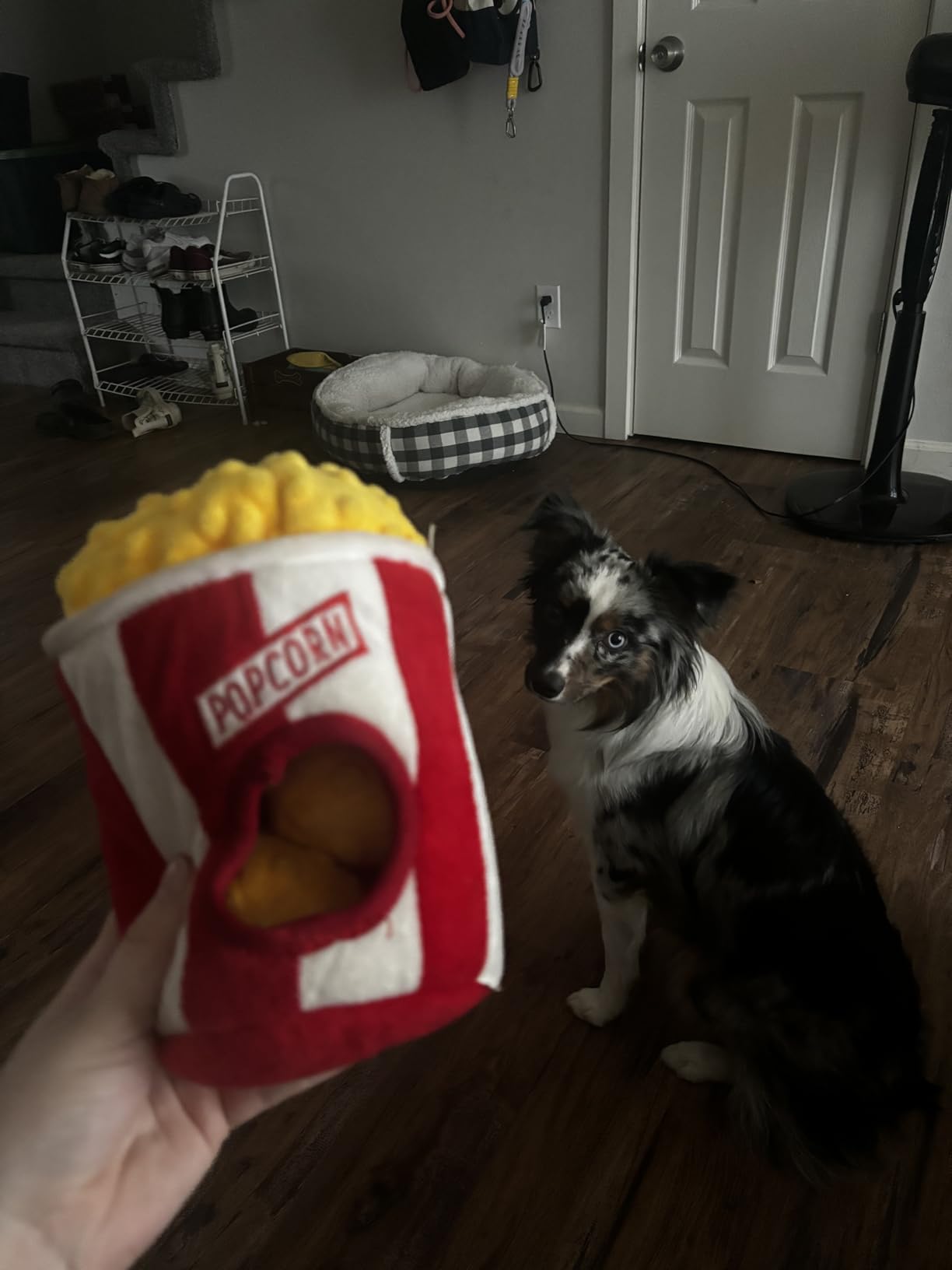 ZippyPaws Burrow - Interactive Dog & Puppy Toys for Boredom, Stimulating Pet Products to Keep them Busy, Hide & Seek Plush Puzzles, Squeaky Toy for Enrichment, For Small & Medium Dogs - Milk and Cookies customer photo 2