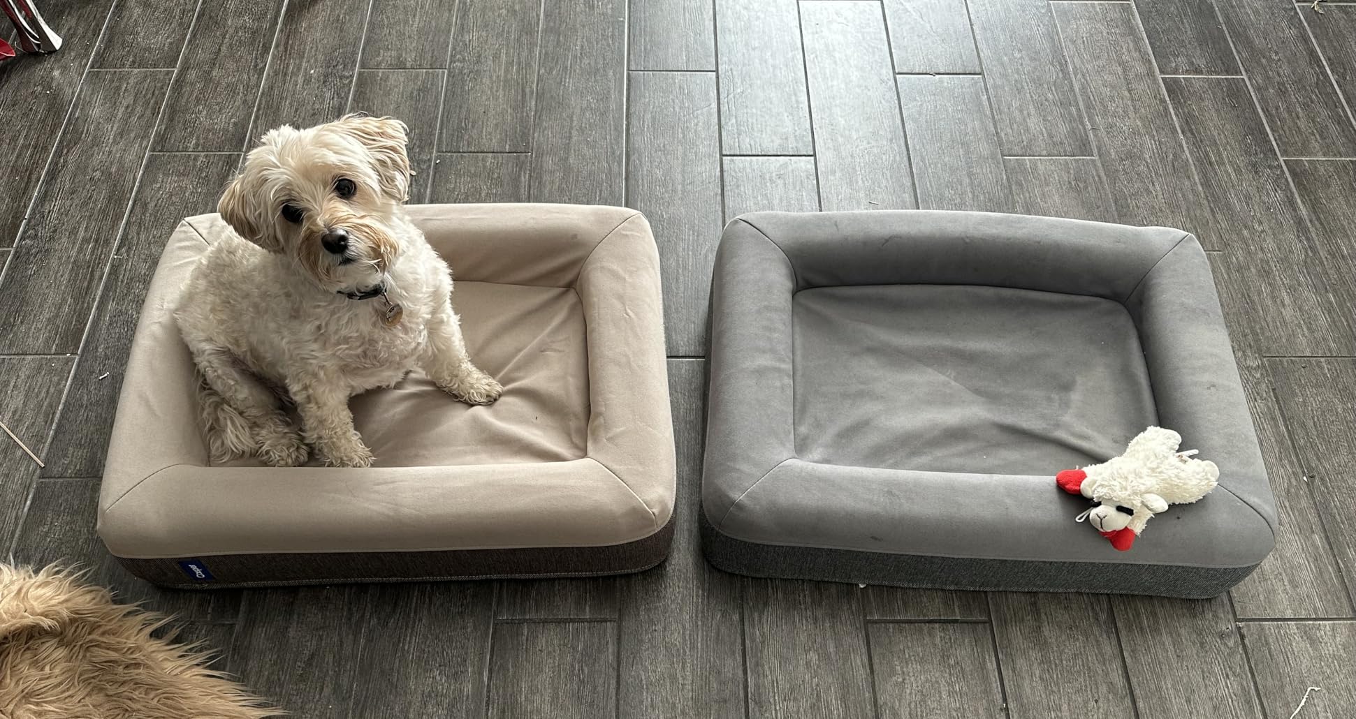 Casper Dog Bed, Plush Memory Foam, Small, Gray, 26.0