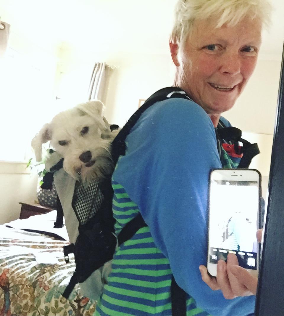 K9 Sport Sack Plus 2 - Large, Light Grey - Ideal for Dogs 20-22