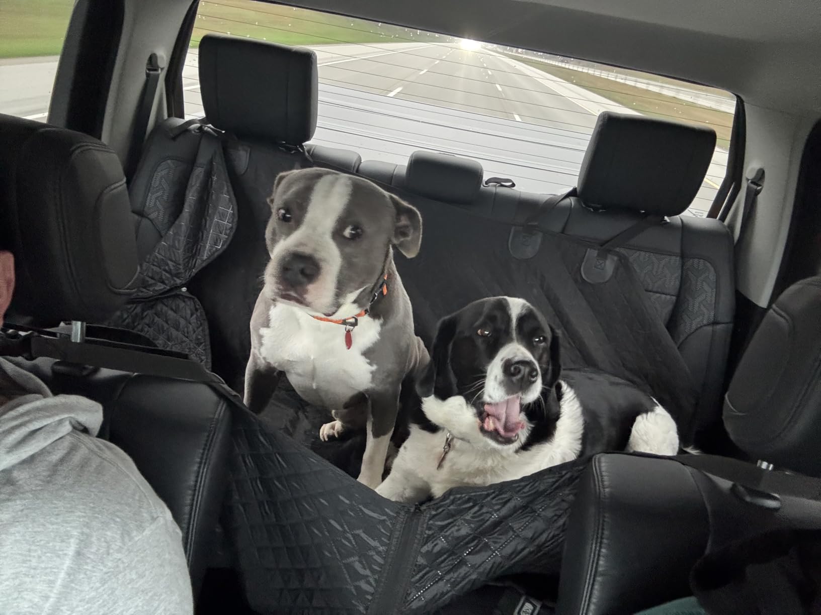 Vailge Dog Car Seat Cover for Back Seat, 100% Waterproof Scratch Proof Nonslip Back Seat Pet Cover for Dogs, 600D Heavy Duty Dog Hammock for Back Seat Car Trucks SUV customer photo 2