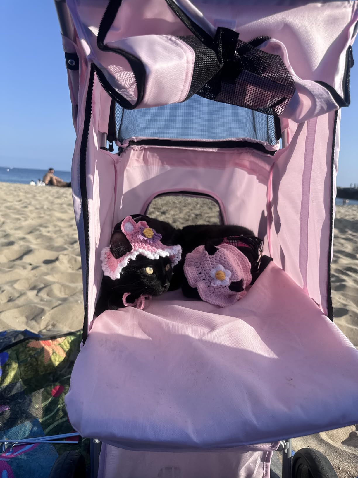 TRIXIE Foldable Pet Stroller for Cats and Dogs, Pet Carrier Strolling Cart with Weather Cover, Storage Basket, Cup Holder, Black | Lightweight, Compact and Portable, Easy to Travel customer photo 1