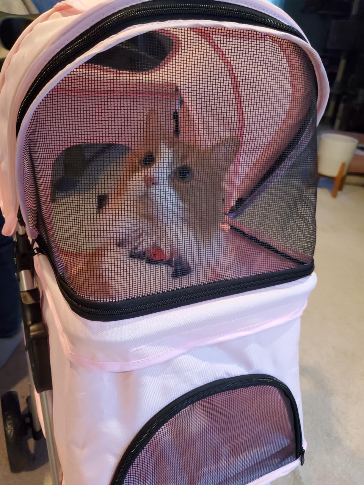 TRIXIE Foldable Pet Stroller for Cats and Dogs, Pet Carrier Strolling Cart with Weather Cover, Storage Basket, Cup Holder, Black | Lightweight, Compact and Portable, Easy to Travel customer photo 2