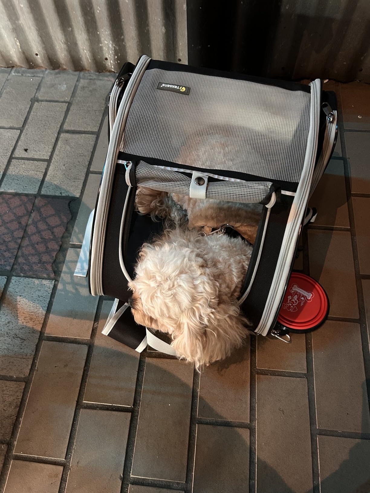 Texsens Innovative Traveler Bubble Backpack Pet Carriers for Cats and Dogs customer photo 1