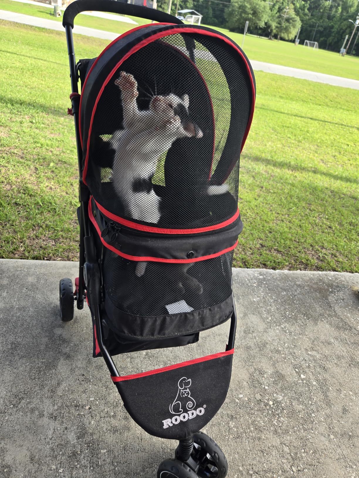 ROODO Escort 3 Wheel Dog Cat Pet Stroller for Small/Medium Dogs Cats Best Lightweight Foldable Portable Compact Jogger All Terrain Travel Pet Gear System Puppy Doggie Bunny Kitty Stroller(Grey) customer photo 1