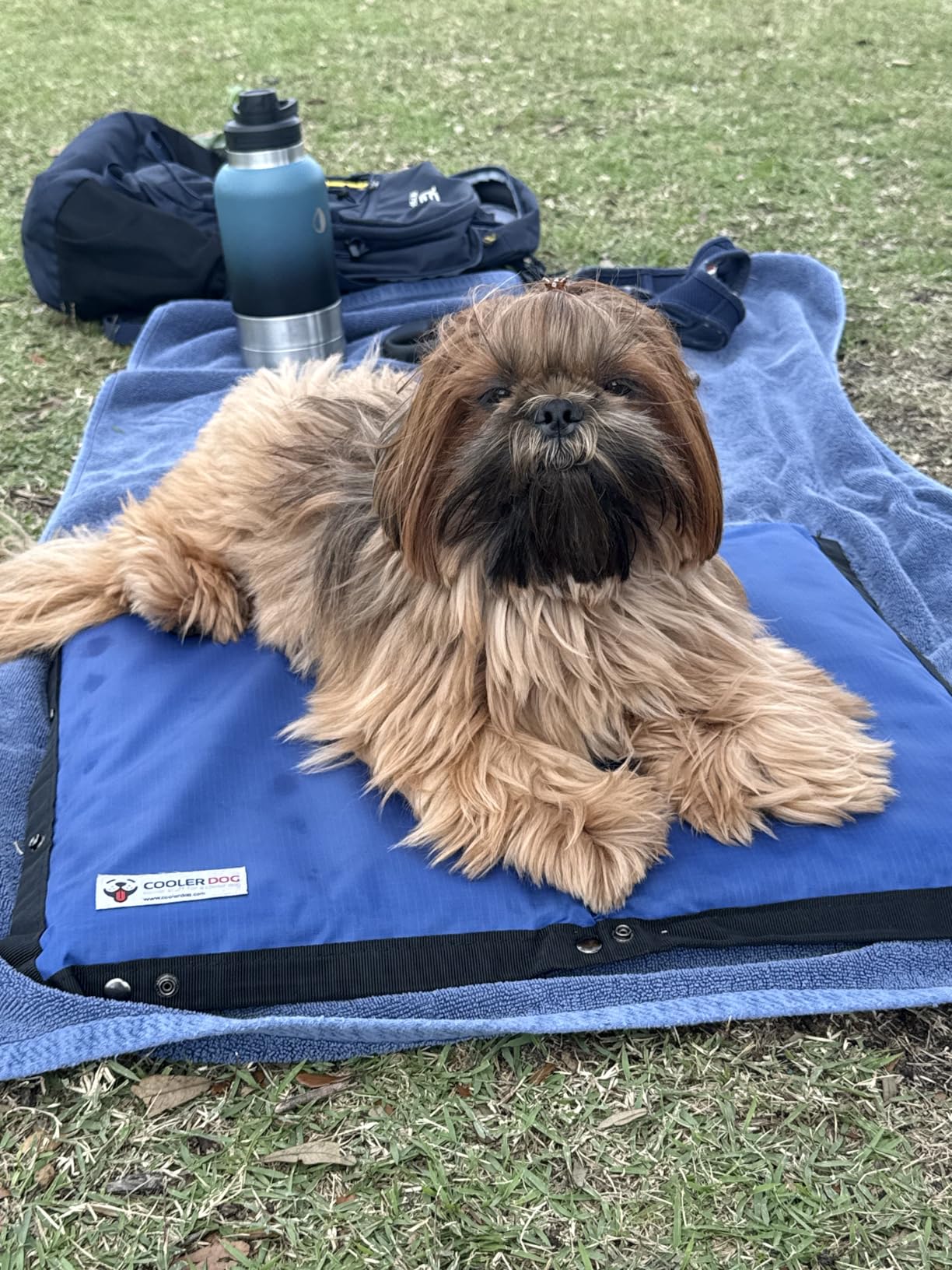 CoolerDog Hydro Cooling Mat for Dogs - Dog Cooling Mat & Cooling Pad for Hot Weather - Triple Layer Cooling with Ice Sheet & Water Cushion (Small/Medium 23