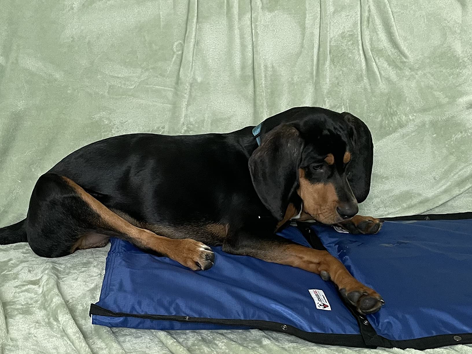 CoolerDog Hydro Cooling Mat for Dogs - Dog Cooling Mat & Cooling Pad for Hot Weather - Triple Layer Cooling with Ice Sheet & Water Cushion (Small/Medium 23