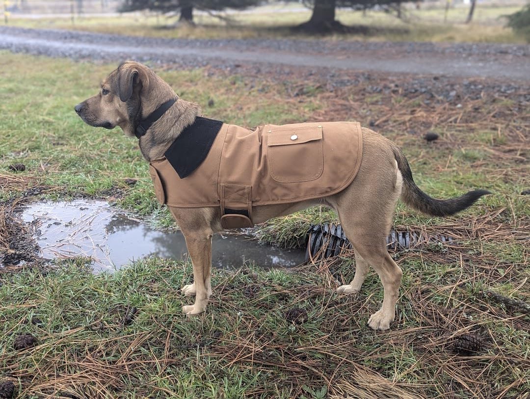 Carhartt Firm Duck Insulated Dog Chore Coat, Durable Weather Resistant Coat for Cold and Windy Conditions, Contains PFAS (Carhartt Brown), X-Large customer photo 2