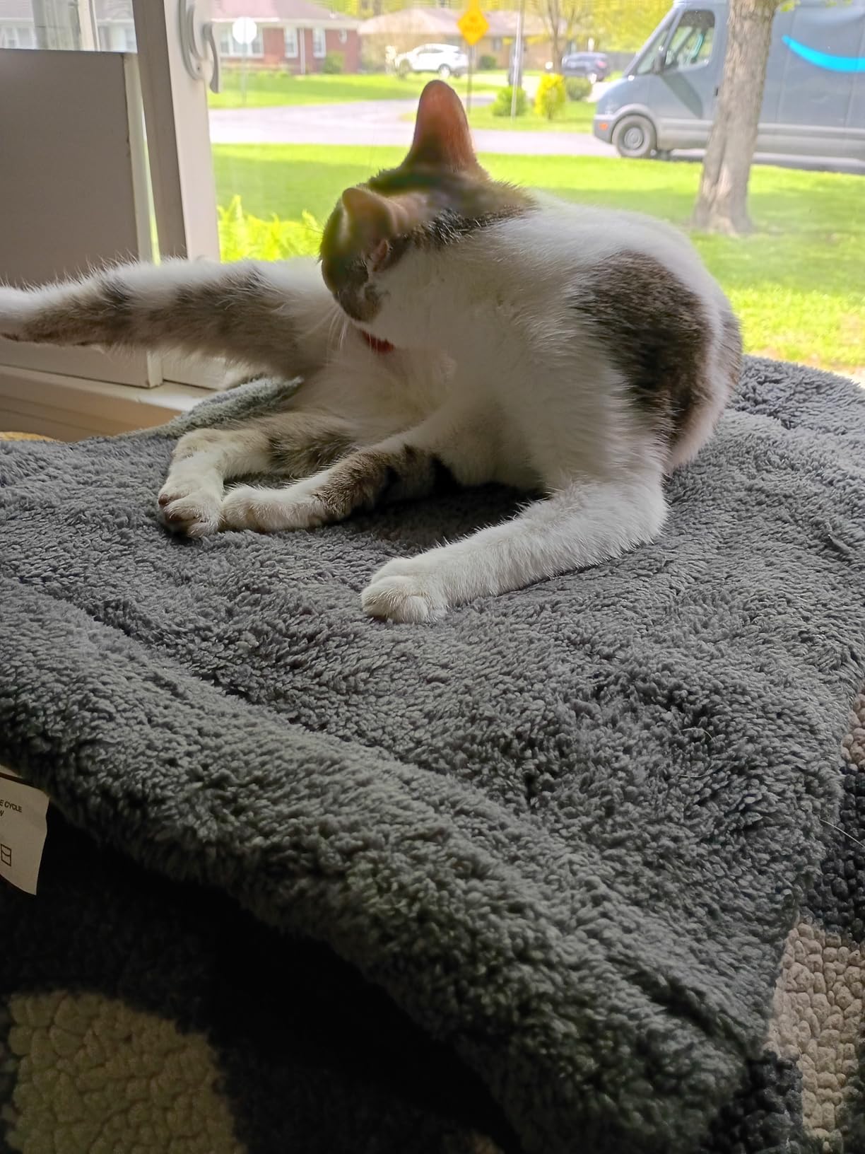 K&H PET PRODUCTS Self-Warming Cat Bed Pad, Self Heating Pad for Outdoor Cat Houses, Warming Mat for Indoor Pet Beds & Furniture, Reversible Blanket, Washable - Small 21 X 17in Oatmeal/Chocolate customer photo 1