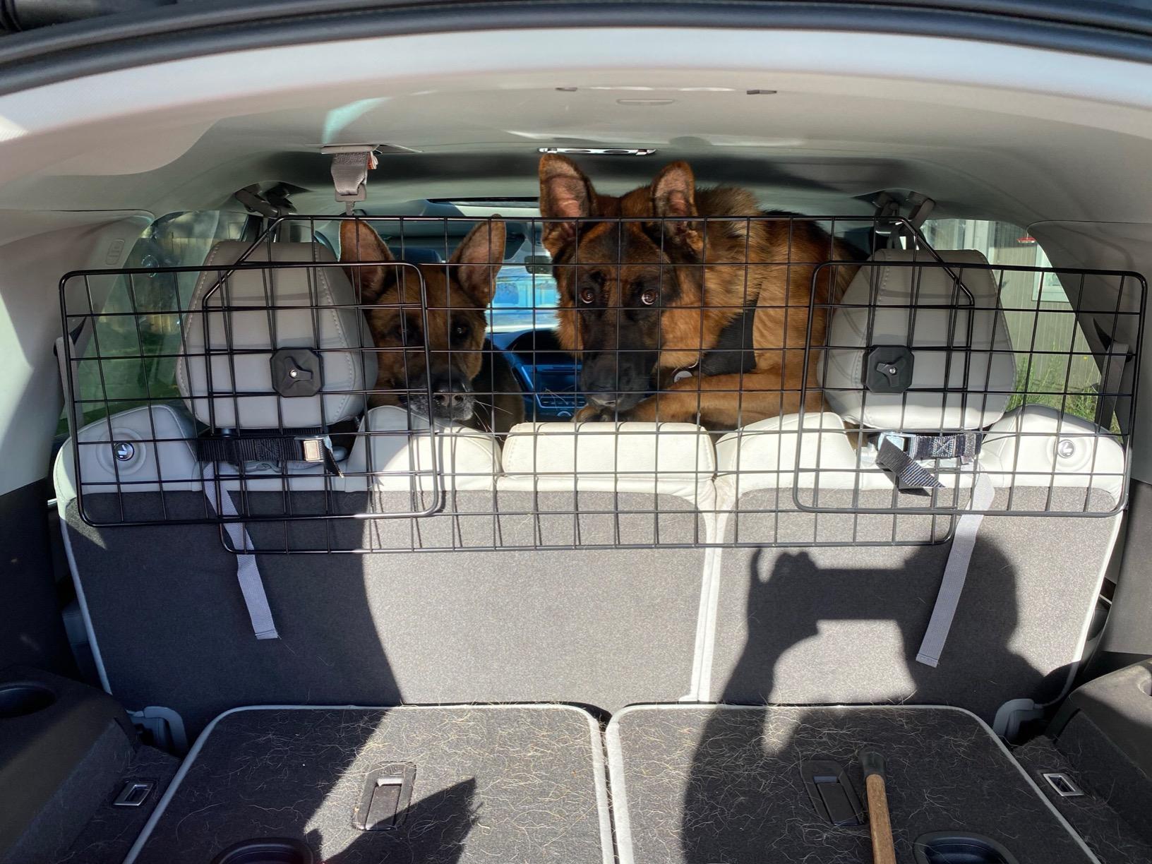 rabbitgoo Dog Car Barrier for SUVs, Adjustable Large Pet Gate, Universal-Fit Divider Cargo Net, Heavy-Duty Wire Mesh customer photo 1