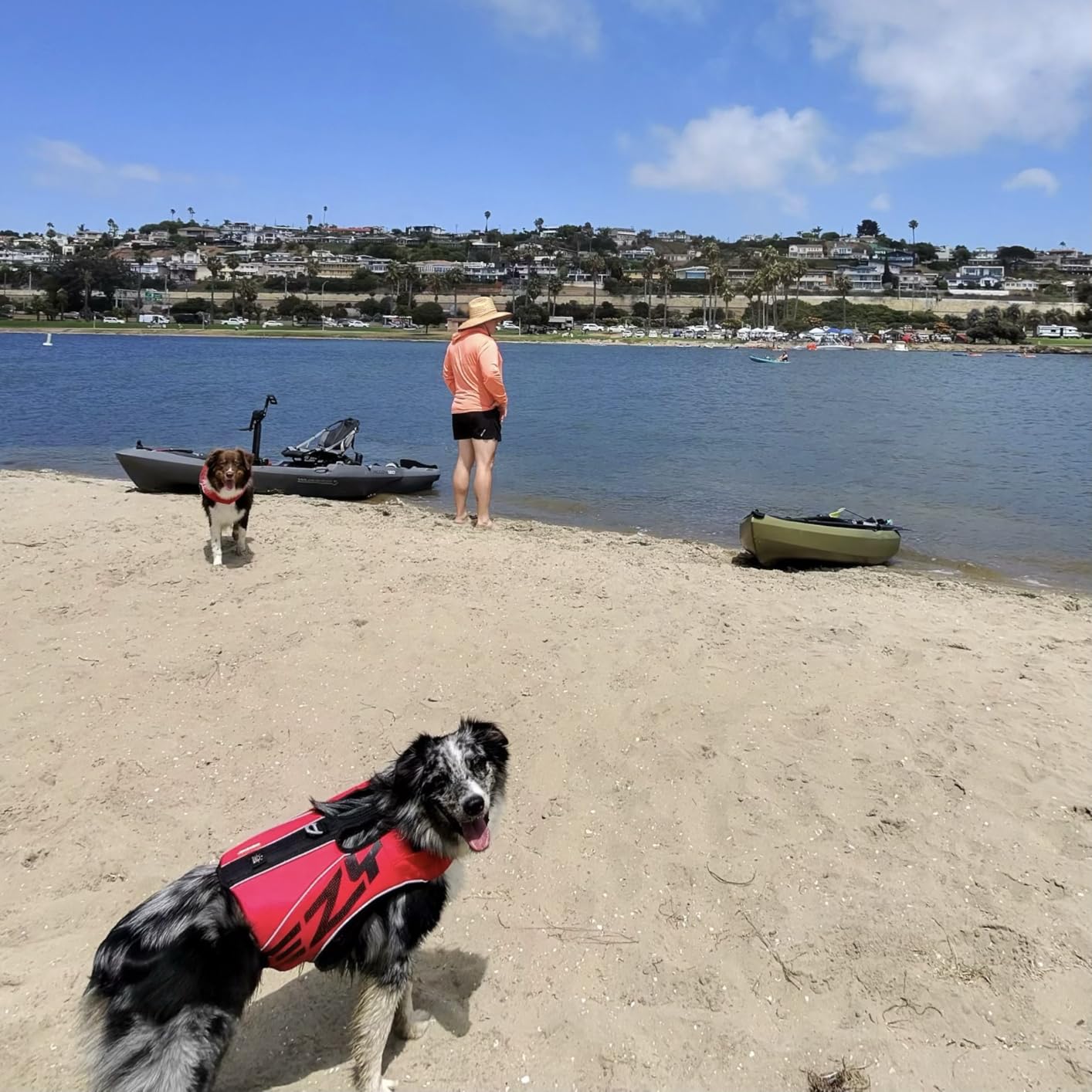 EzyDog DFD X2 Dog Life Jacket - Adjustable Swimming Safety Life Vest Preserver with Continuous Neck Flotation, Reflective Trim, & Grab Handle (Medium, Yellow) customer photo 2