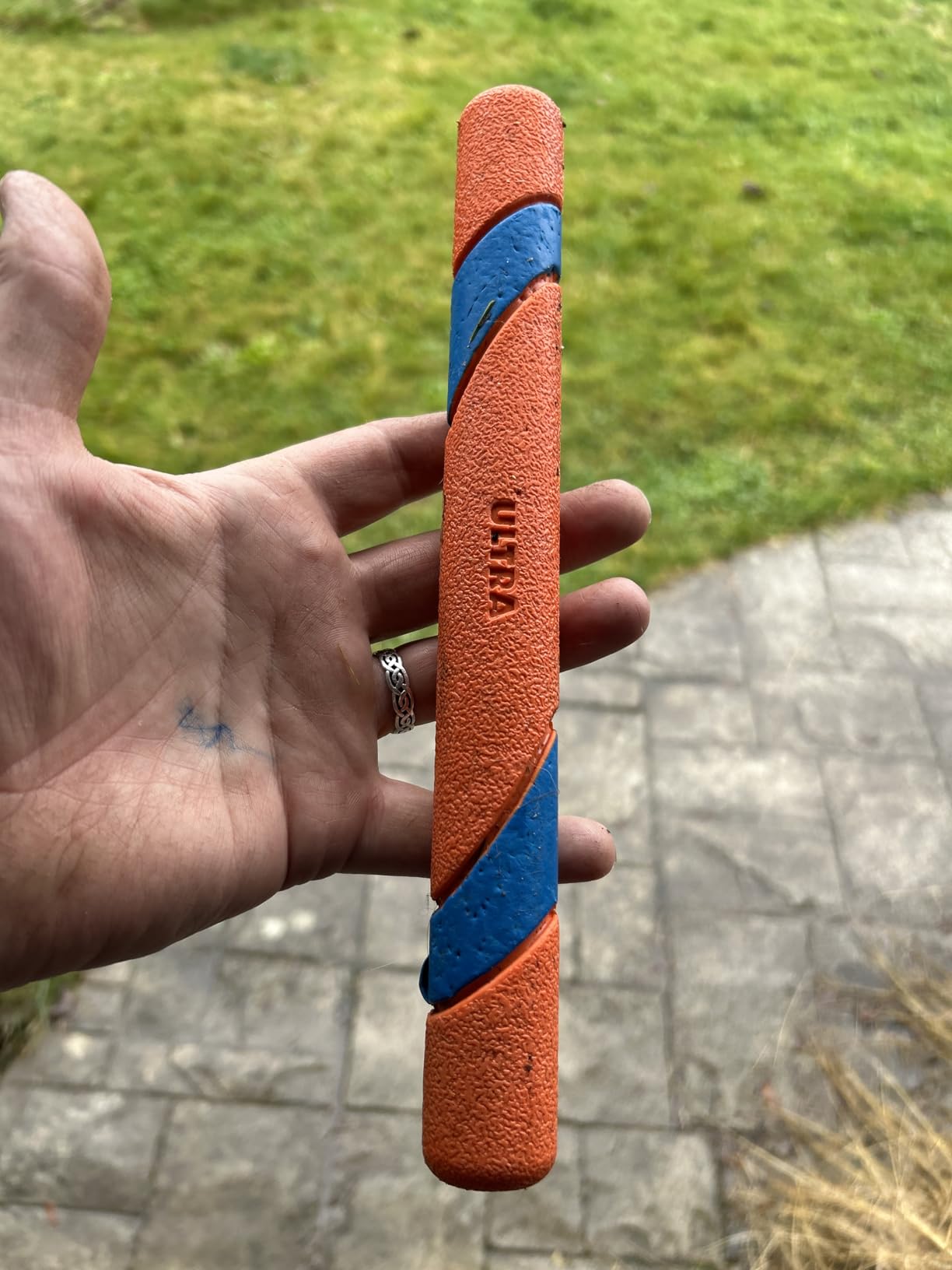 Chuckit! Interactive Dog Toy Ultra Fetch Stick customer photo 2