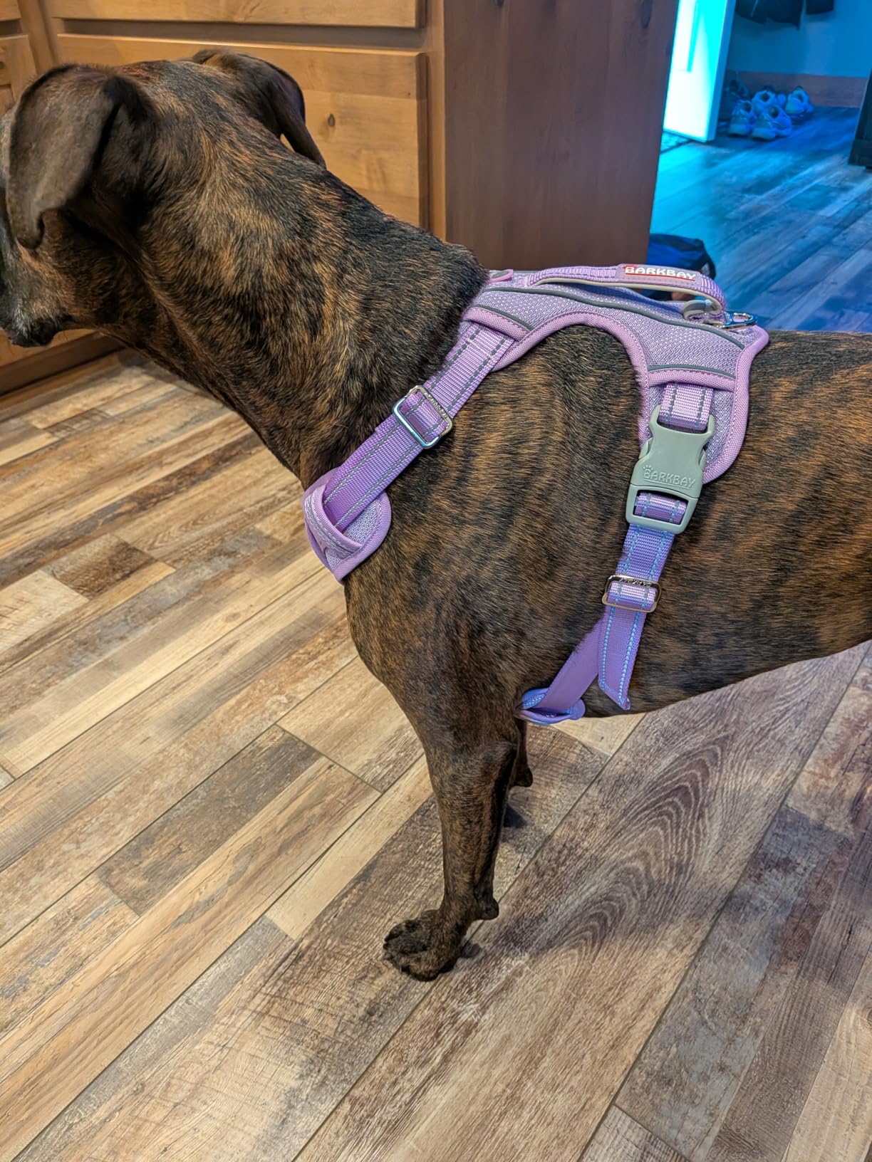 BARKBAY No Pull Dog Harness Large Reflective Dog Harness with Front Clip and Easy Control Handle for Walking Training Running with ID tag Pocket (Pink, L) customer photo 1