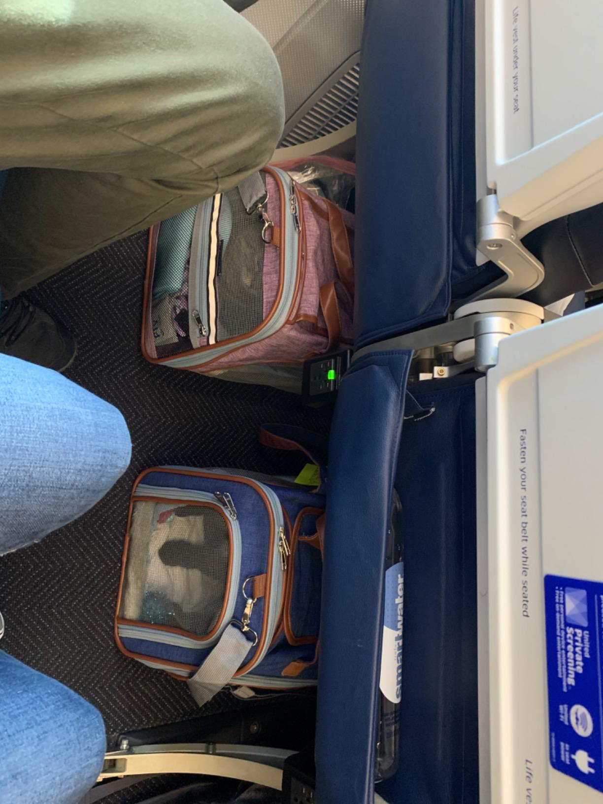 Mr. Peanut's Gold Series Standard Size Airline Compliant Expandable Pet Carrier V3.0 customer photo 2
