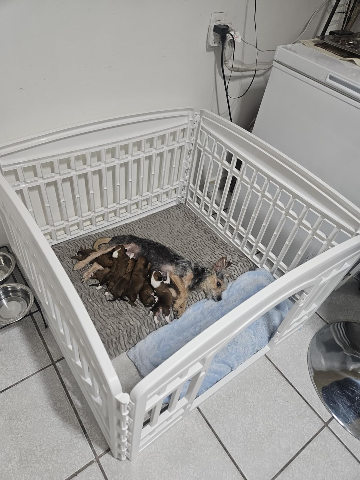 IRIS USA Dog Playpen with Door, 34