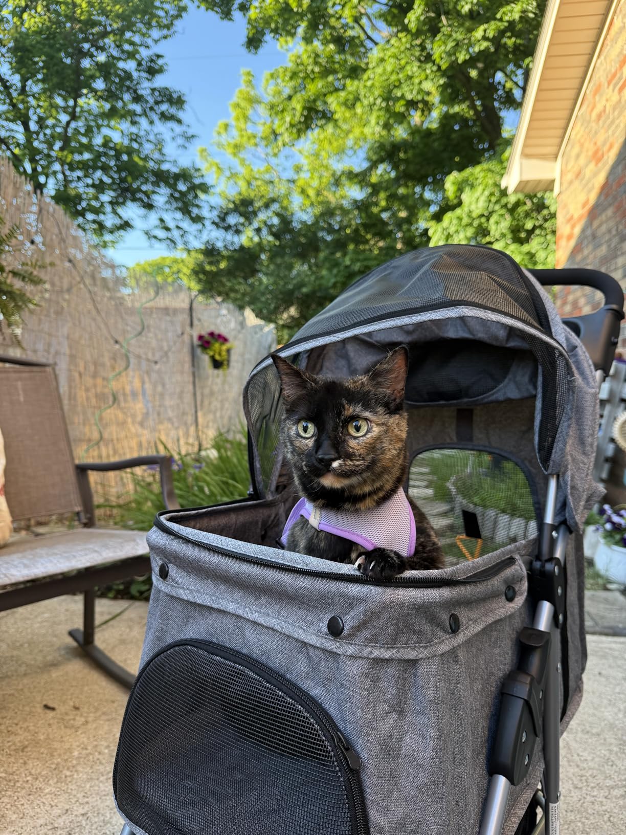 ZENY Foldable Pet Stroller, Cat/Dog Stroller with 4 Wheel, Pet Travel Carrier Strolling Cart with Storage Basket, Cup Holder (Black) customer photo 1