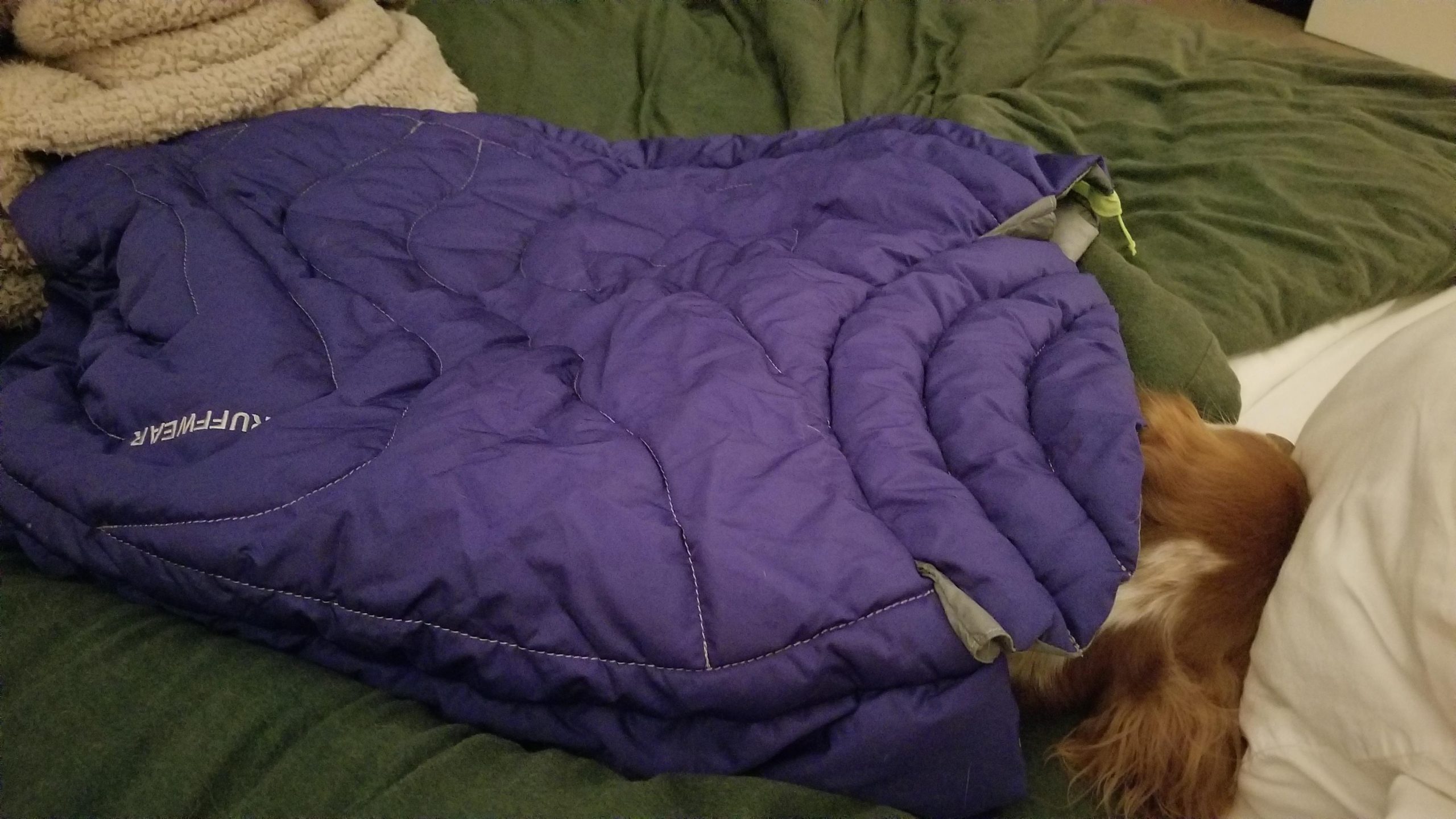 Highlands Dog Sleeping Bag, Water-Resistant Portable Dog Bed for Outdoor Use customer photo 2