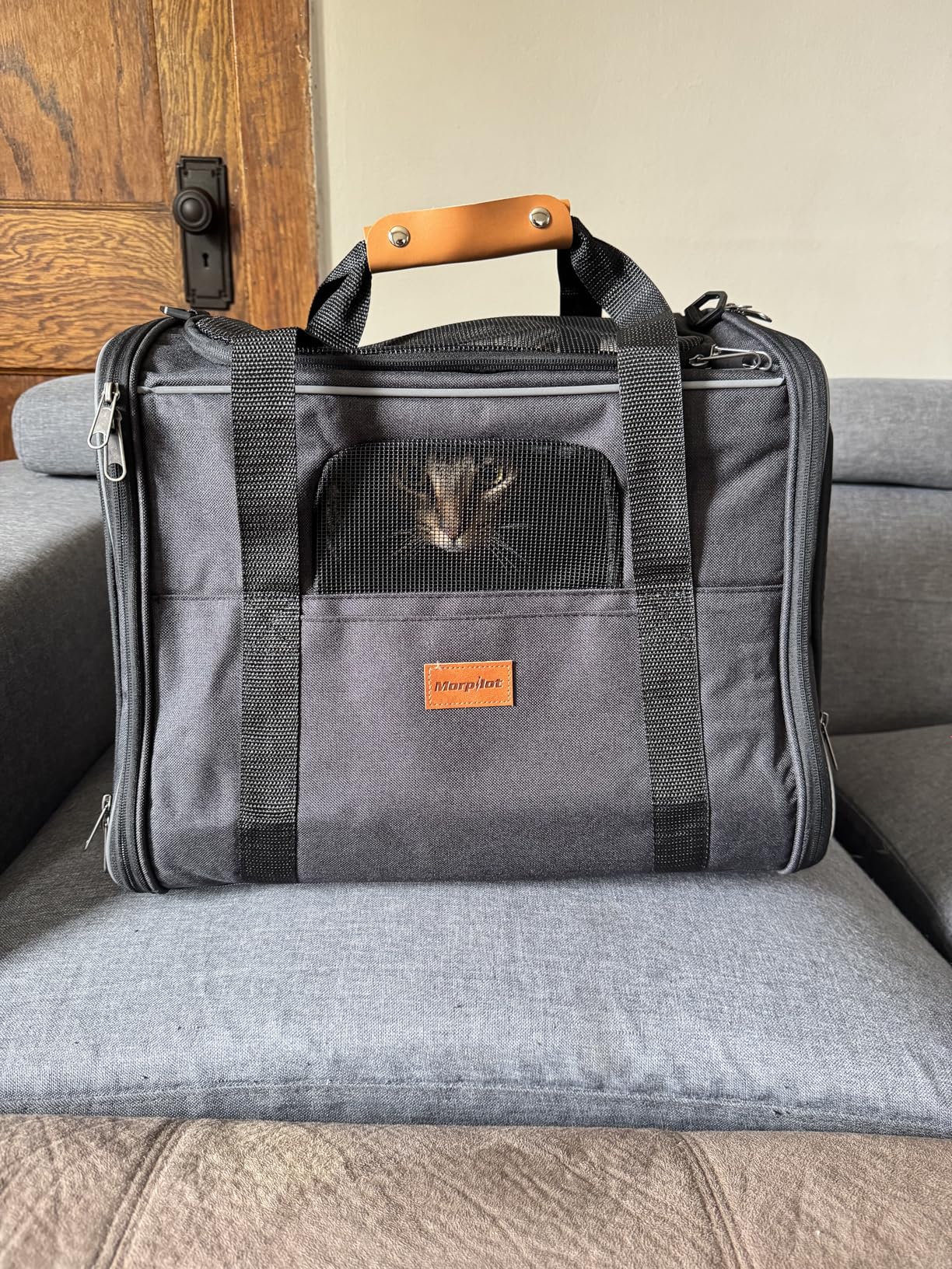 Morpilot Pet Carrier for Large Cats, Puppies & Small Dogs Up to 25lbs, Escape-Proof with Locking Zippers, Dual-Sided Cushion, Safety Buckle for Car & Vet Travel, Includes Foldable Bowl (Dark Gray) customer photo 1