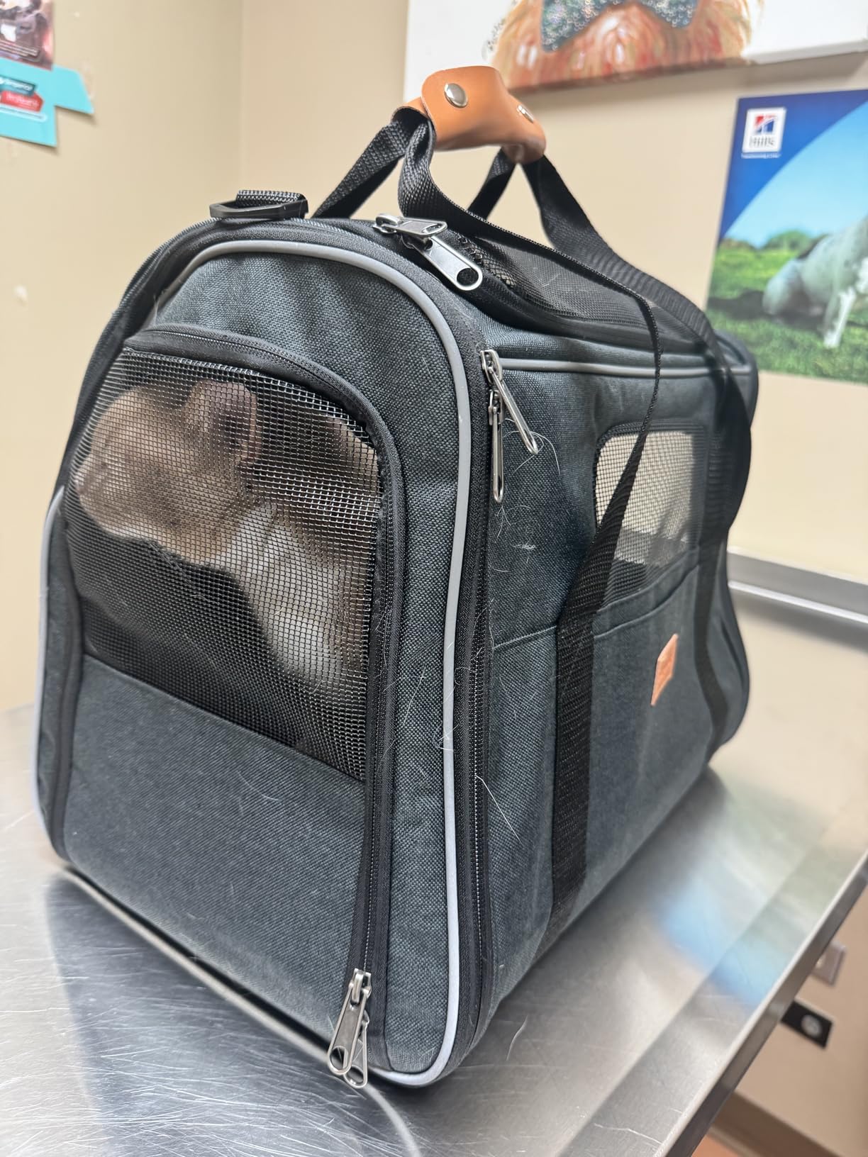 Morpilot Pet Carrier for Large Cats, Puppies & Small Dogs Up to 25lbs, Escape-Proof with Locking Zippers, Dual-Sided Cushion, Safety Buckle for Car & Vet Travel, Includes Foldable Bowl (Dark Gray) customer photo 2