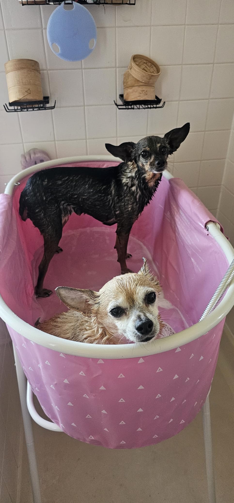 Furesh Portable Foldable Dog Bathtub for Small & Medium Dogs (Gray) customer photo 1