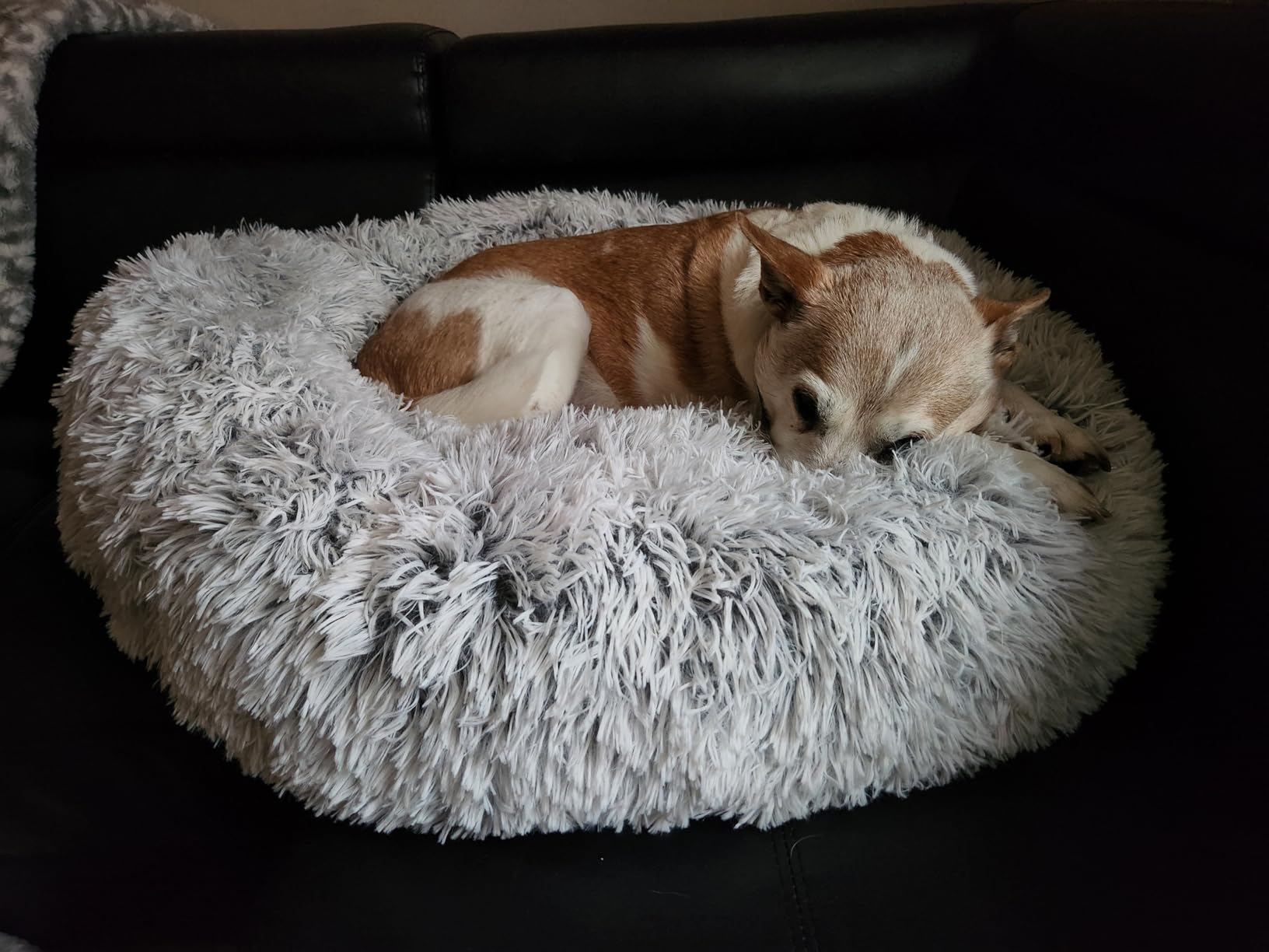 Friends Forever Donut Dog Bed Faux Fur Fluffy Calming Sofa For Small Dogs, Soft & Plush Anti Anxiety Pet Couch For Dogs, Machine Washable Coco Pet Bed with Non-Slip Bottom, 23