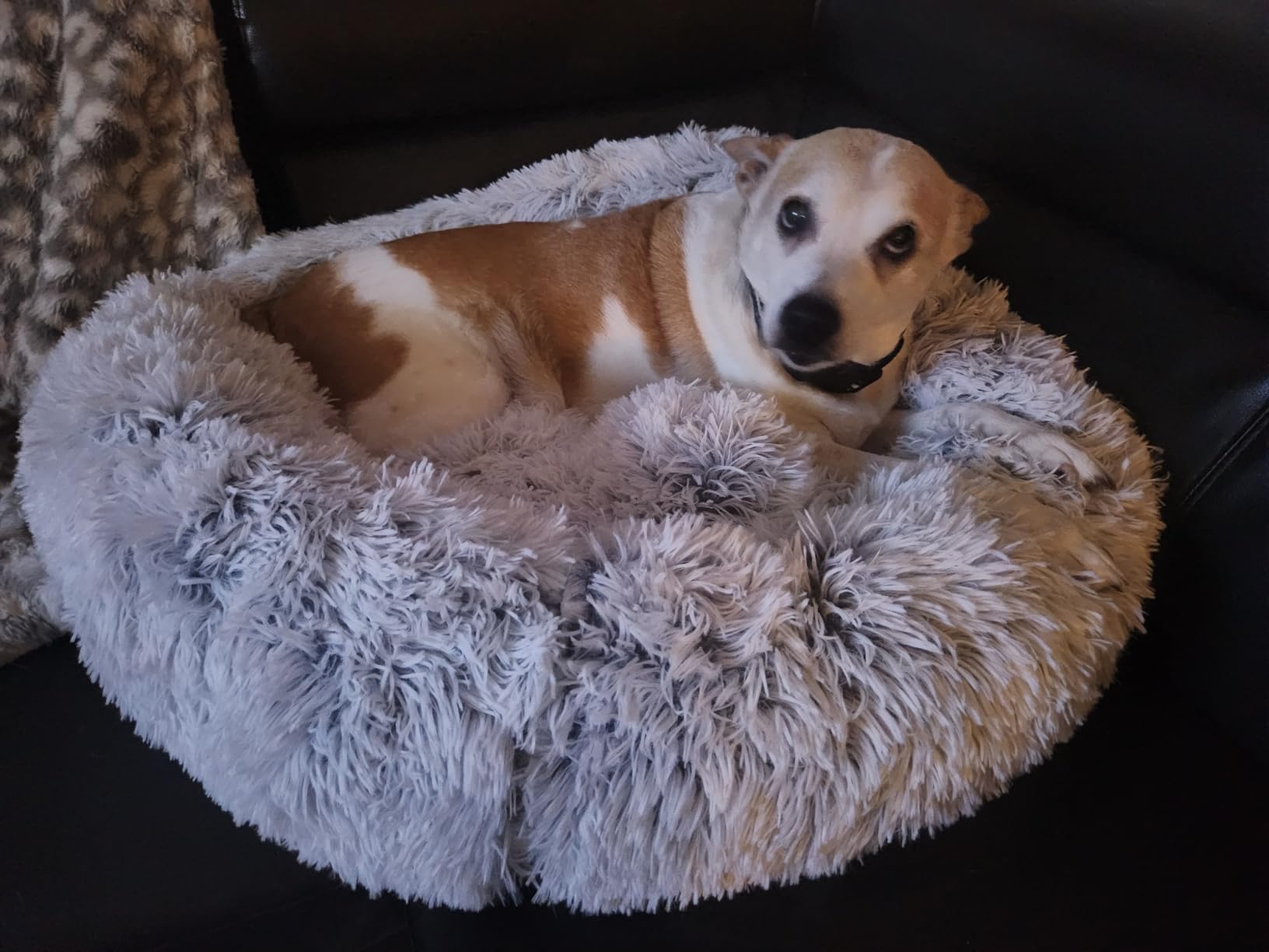 Friends Forever Donut Dog Bed Faux Fur Fluffy Calming Sofa For Small Dogs, Soft & Plush Anti Anxiety Pet Couch For Dogs, Machine Washable Coco Pet Bed with Non-Slip Bottom, 23