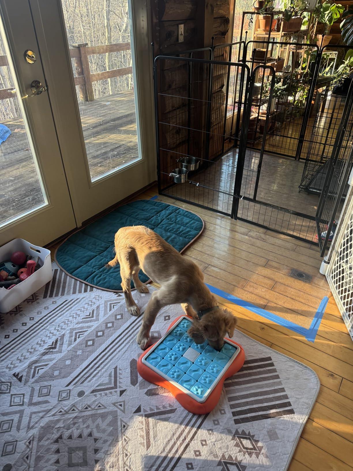 Outward Hound by Nina Ottosson MultiPuzzle - Interactive Dog Treat Puzzle Enrichment Toy, Level 4 Expert customer photo 1