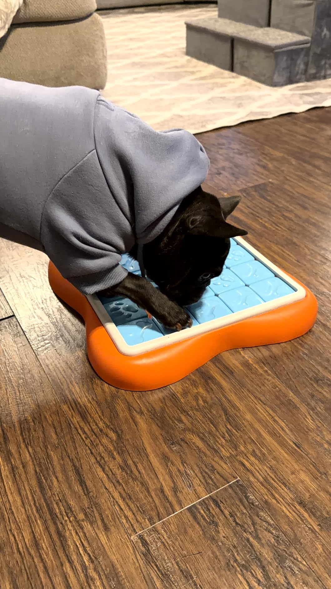 Outward Hound by Nina Ottosson MultiPuzzle - Interactive Dog Treat Puzzle Enrichment Toy, Level 4 Expert customer photo 2