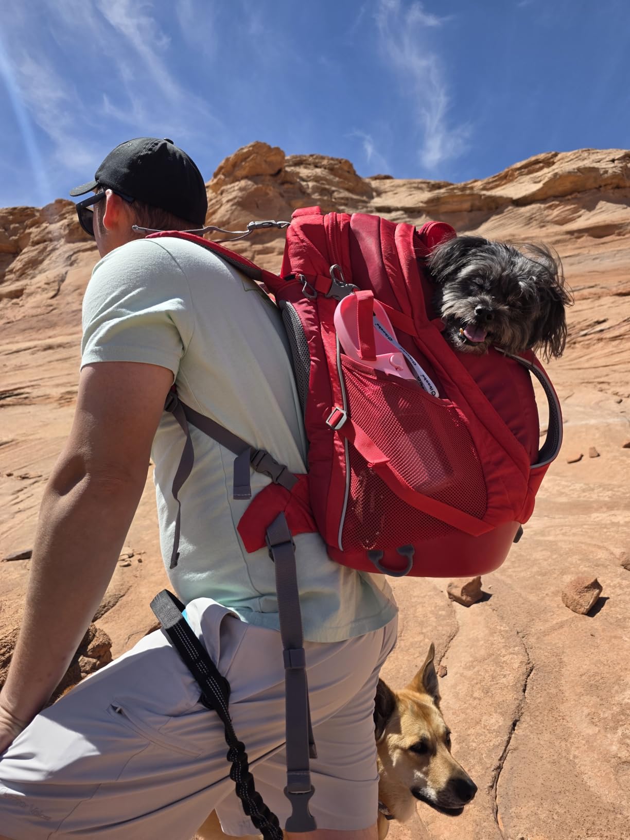 Kurgo G-Train Dog Carrier Backpack - Comfortable Travel Bag for Pets Up to 25 lbs - Waterproof Bottom - Multi-Compartment Pack customer photo 2