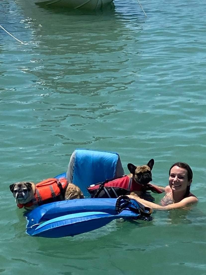 Petglad French Bulldog Life Jacket, Life Vest with Chin Float Rescue Handle for Corgi Pug, Adjustable High Visibility Flotation Swim Vest for Swimming Boating, Green customer photo 2