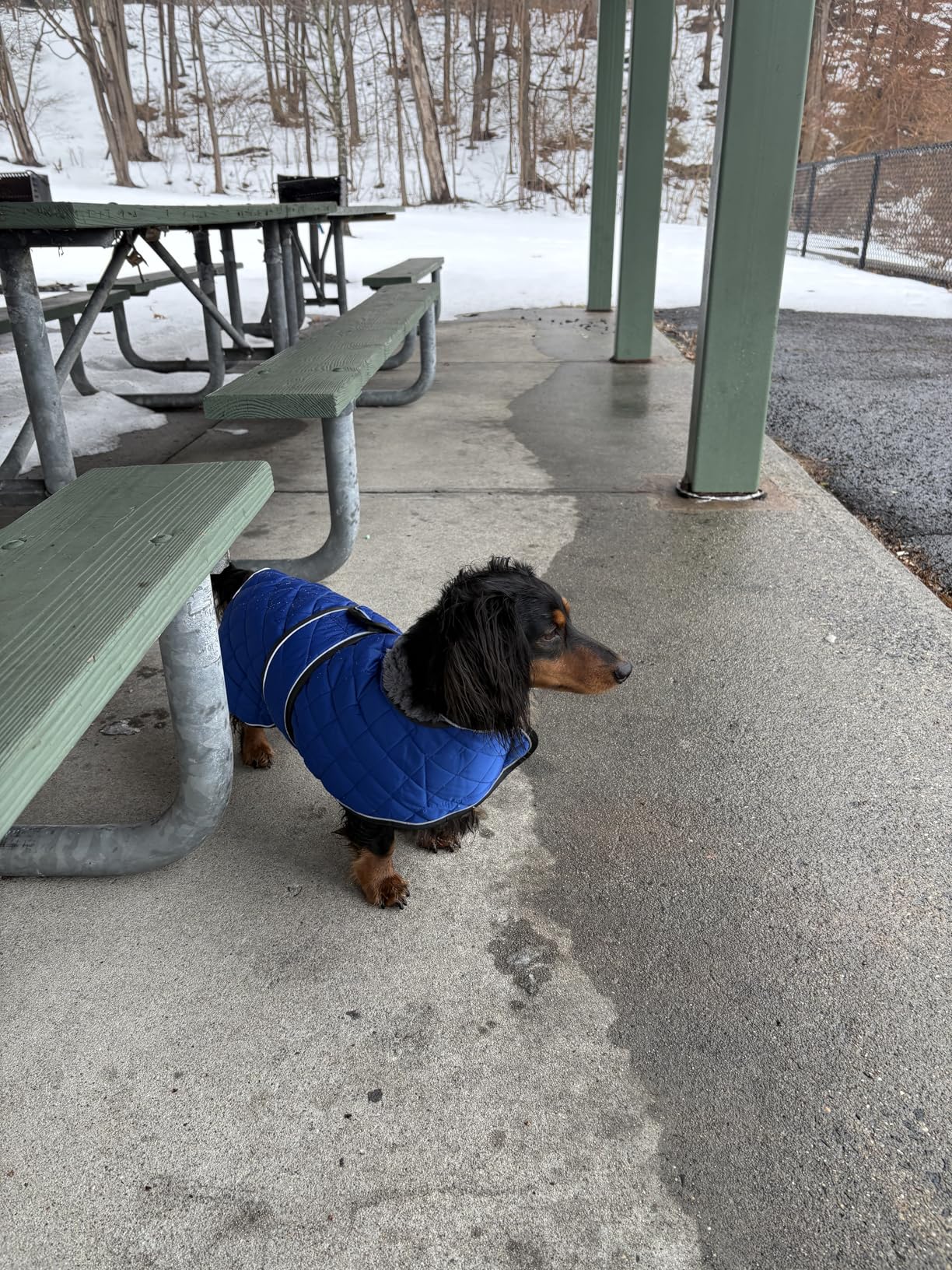 Geyecete Greyhound Cosy Fleece Jumper, Dog Winter Coat with Warm Fleece Lining, Outdoor Dog Apparel with Adjustable Bands for Medium, Large Dog - Pink-S customer photo 2