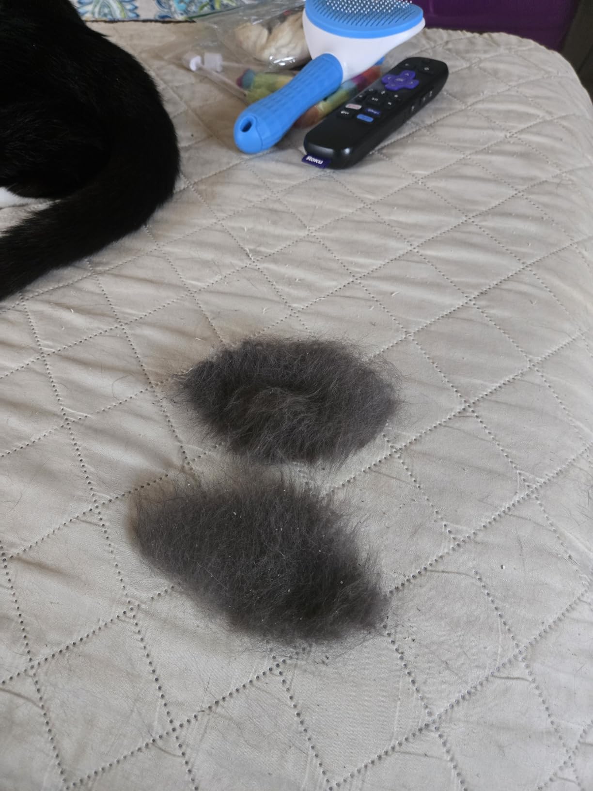 Depets Self Cleaning Slicker Brush, Dog Cat Bunny Pet Grooming Shedding Brush - Easy to Remove Loose Undercoat, Pet Massaging Tool Suitable for Pets with Long or Short Hair customer photo 1