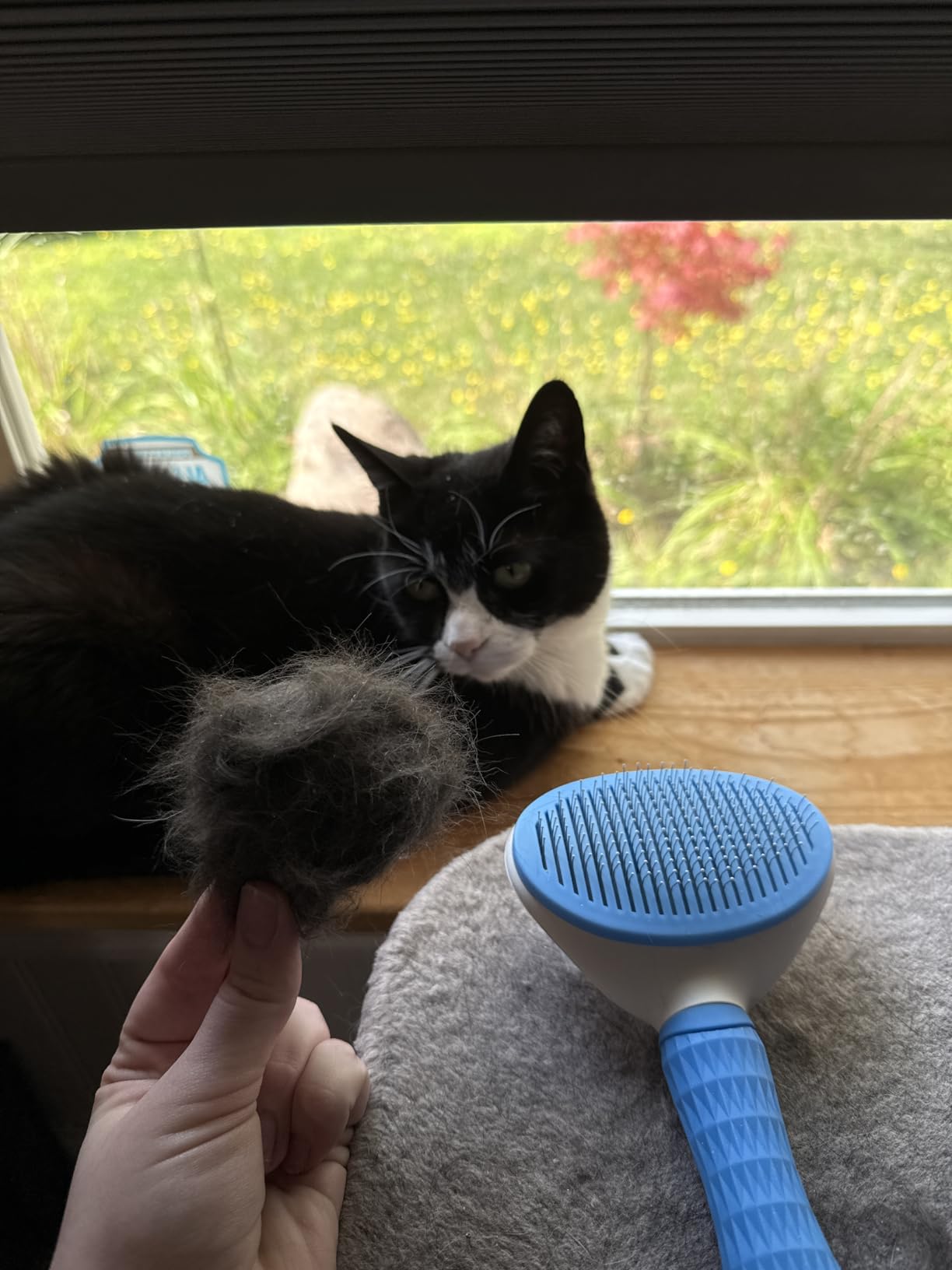 Depets Self Cleaning Slicker Brush, Dog Cat Bunny Pet Grooming Shedding Brush - Easy to Remove Loose Undercoat, Pet Massaging Tool Suitable for Pets with Long or Short Hair customer photo 2