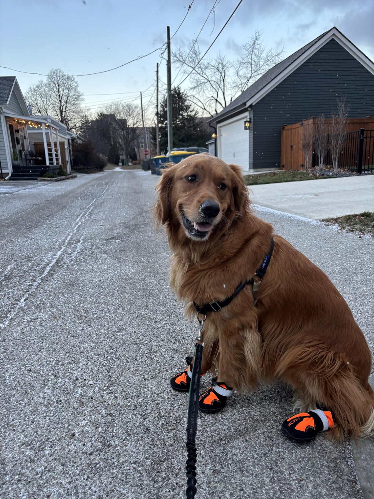 Hcpet Dog Boots, Anti-Slip Dog Booties for Hot Pavement Winter Snow Hiking with Reflective Straps customer photo 1