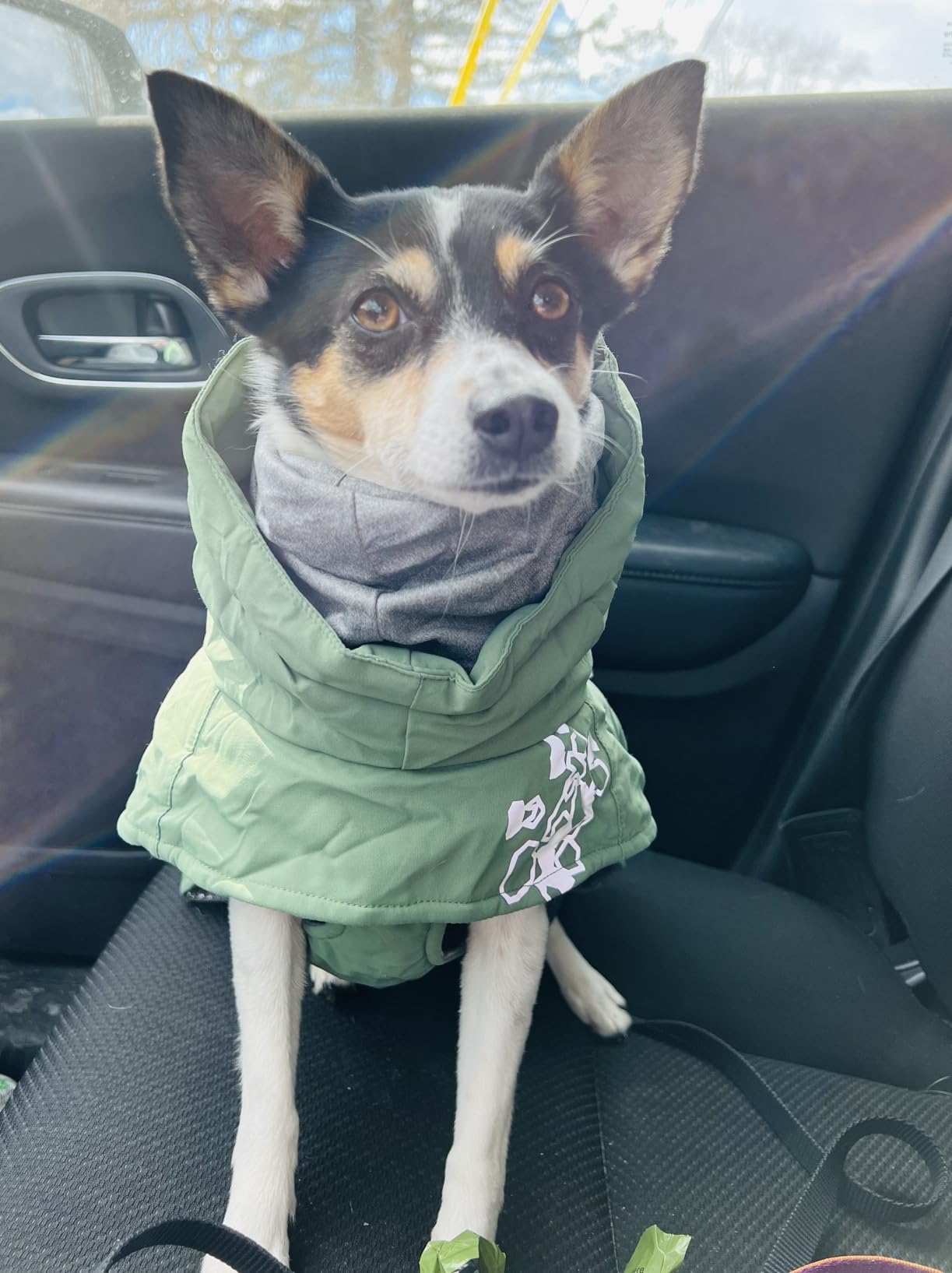 Hurtta Extreme Overall, Dog Snowsuit, BlackBerry, 24M customer photo 2