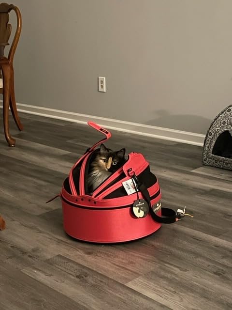 Sleepypod Mobile Pet Bed - Multi-use Travel Pet Bed, Crash-Tested Car Seat, & Carrier for Dogs and Cats up to 15 Pounds (First Blush) customer photo 2