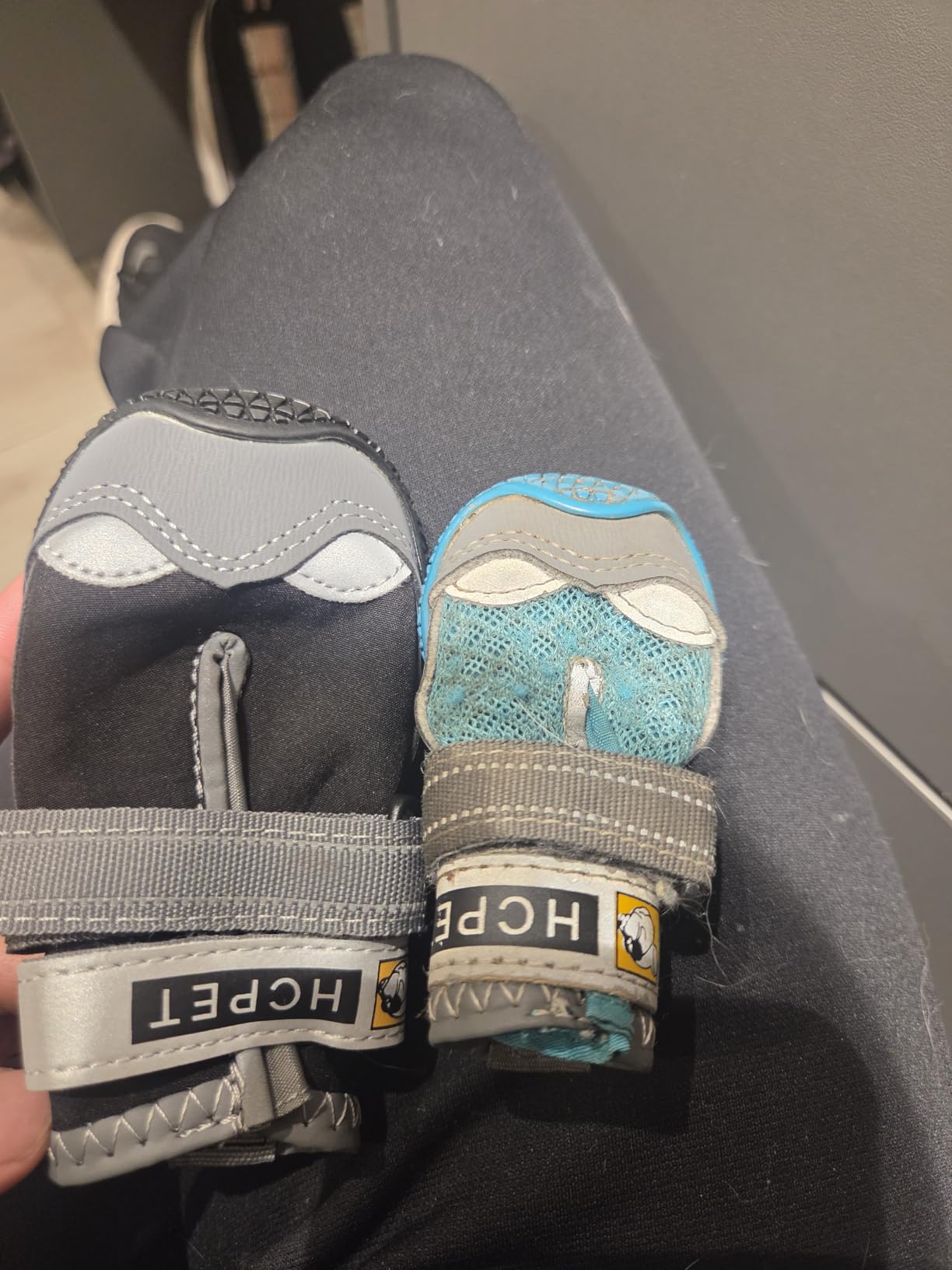 Hcpet Dog Shoes for Dogs - Anti-Slip Dog Boots & Paw Protectors for Hot Pavement Winter Snow Hiking with Reflective Straps customer photo 2