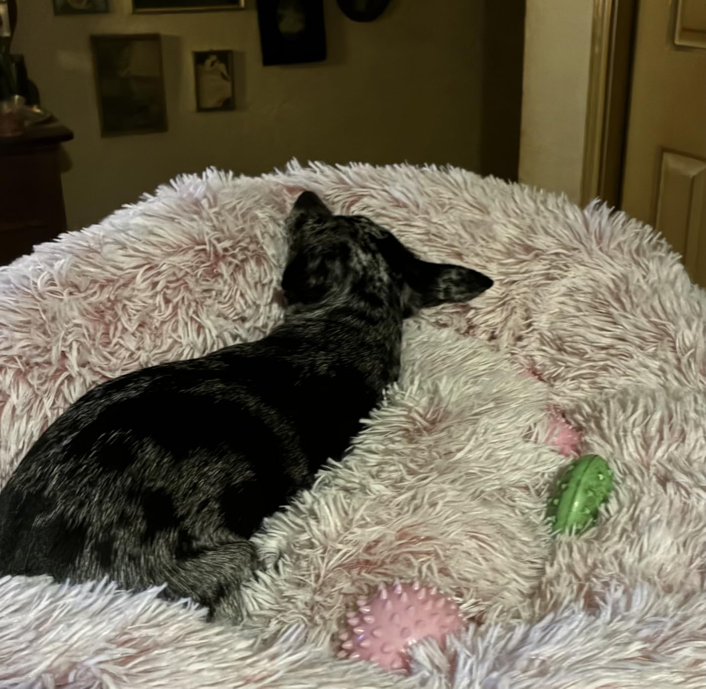 WESTERN HOME WH Calming Soft Round Dog & Cat Bed, Anti-Anxiety Donut Cuddler Warming Cozy Fluffy Faux Fur Plush Cushion Bed for Small Medium Dogs and Cats (20