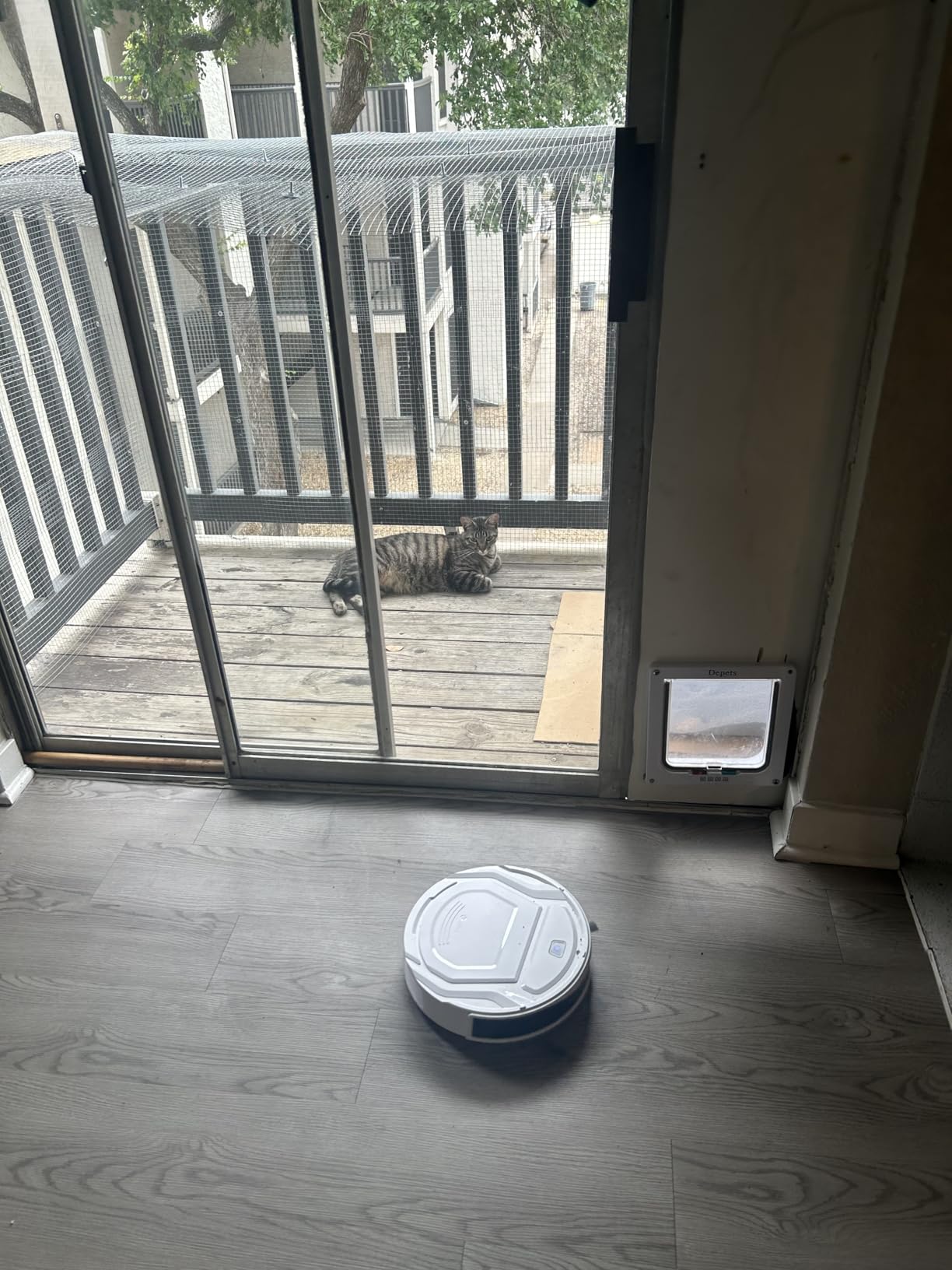 Lefant Robot Vacuum Cleaner, Strong Suction, 120 Mins Runtime, Slim, Low Noise, Automatic Self-Charging, Wi-Fi/App/Alexa Control, Ideal for Pet Hair Hard Floor and Daily Cleaning, M210 customer photo 2