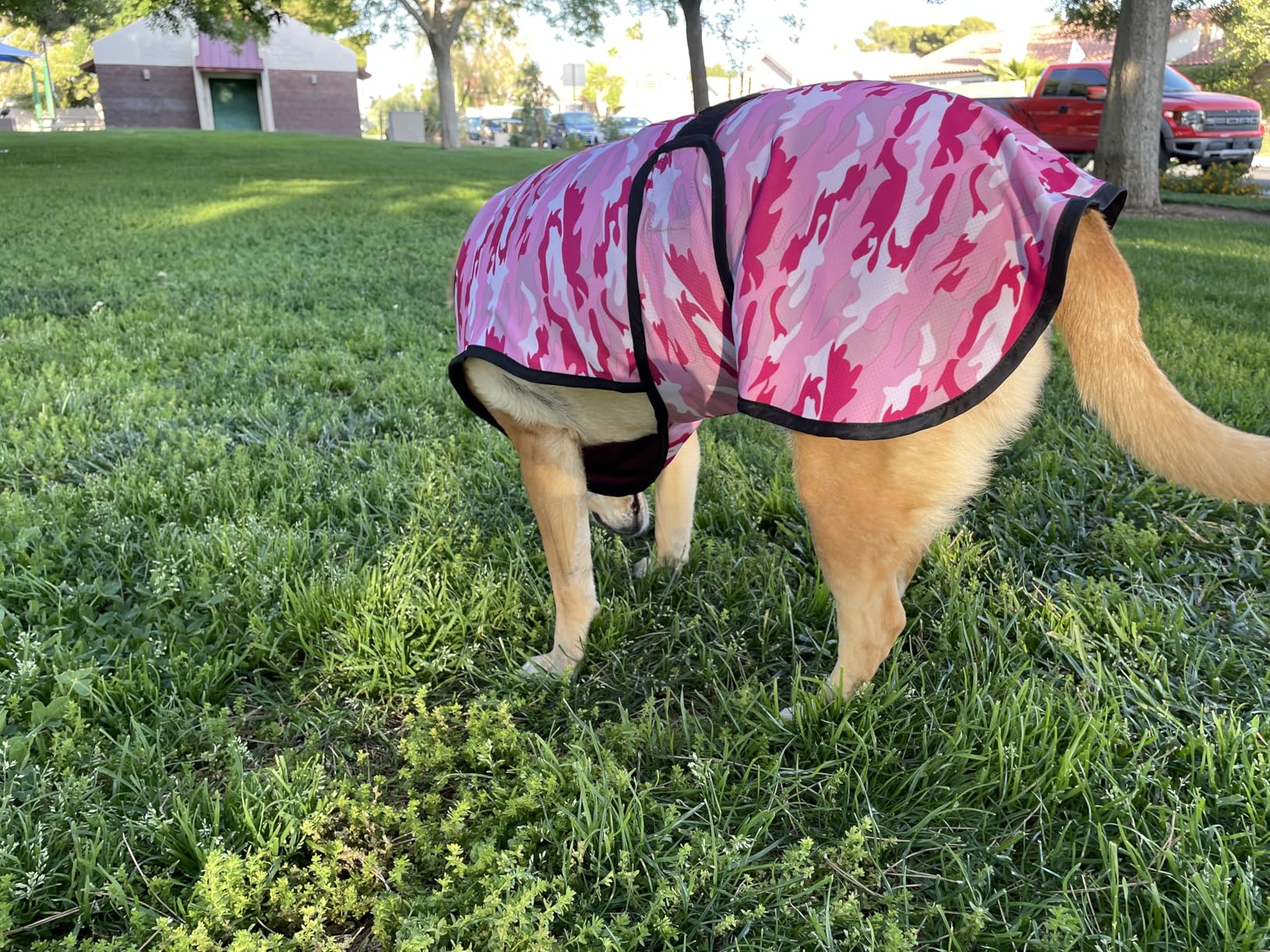 Dog Cooling Vest - 2-Layer Cooling with Soft Microfiber Fabric - Lightweight, Adjustable and Comfortable - UV Protection for Small to Large Dogs - Relief in Hot Weather (Blue, X-Small) customer photo 1