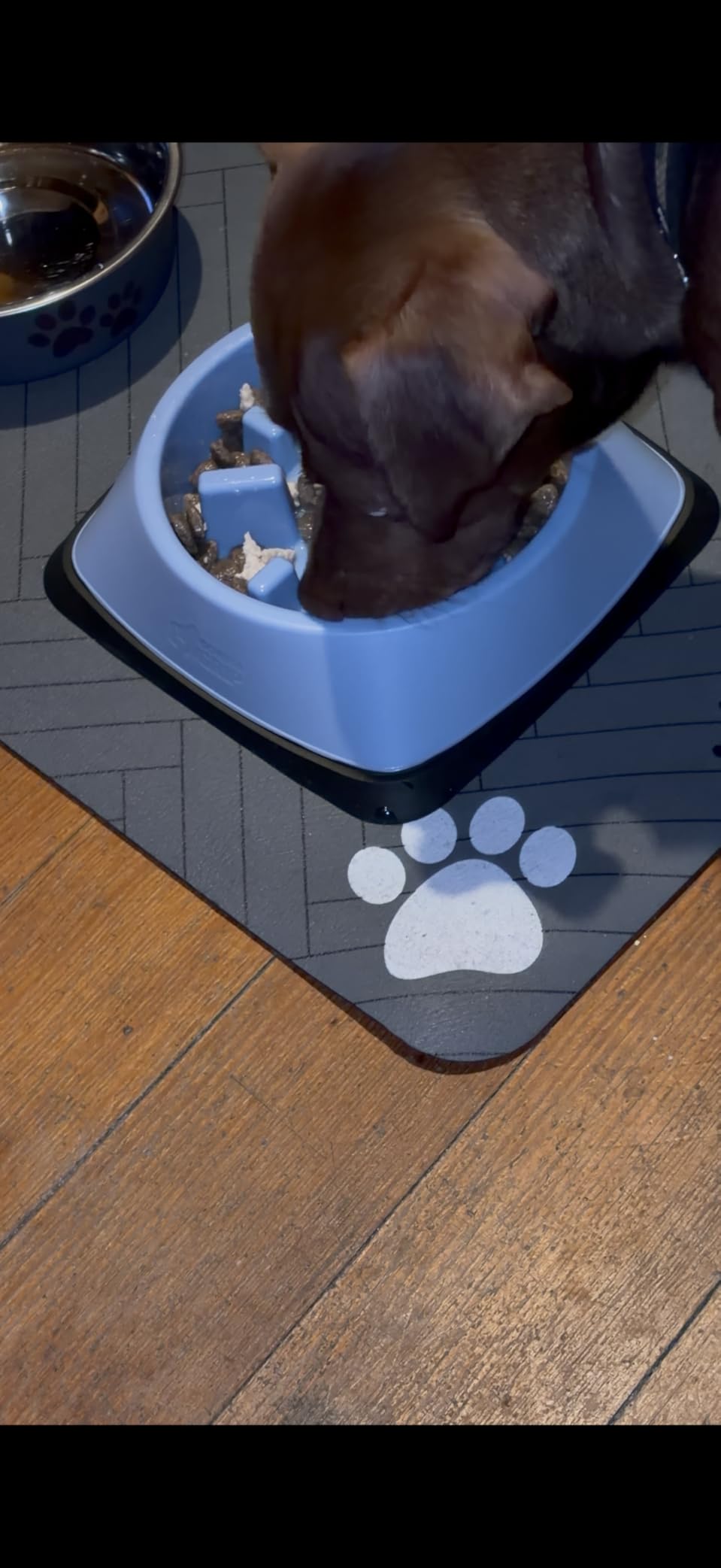 GORILLA GRIP Patented BPA Free Slow Feeder Dog Bowls, Interactive Puzzle Toy for Dogs and Cats Food Training Enrichment, Keeps Pets Busy and Prevents Puppy Overeating, Small Breeds, 1 Cup, Gray customer photo 1