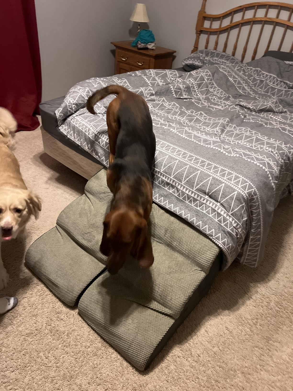 MEJYJEM 3 Steps High Density Foam Dog Stairs Ramps customer photo 2