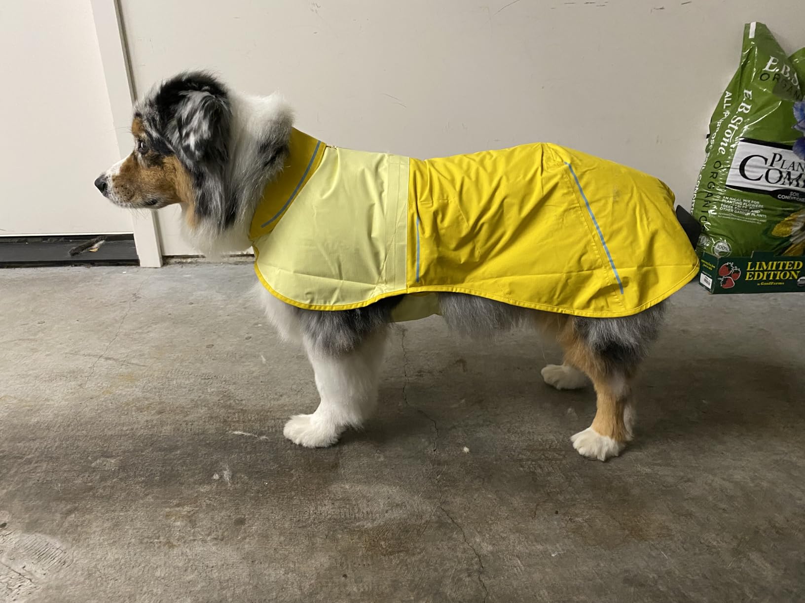 Ruffwear Sun Shower Dog Raincoat, All-Weather Jacket, Waterproof, Windproof & Lightweight, Midnight Blue, X-Large customer photo 2